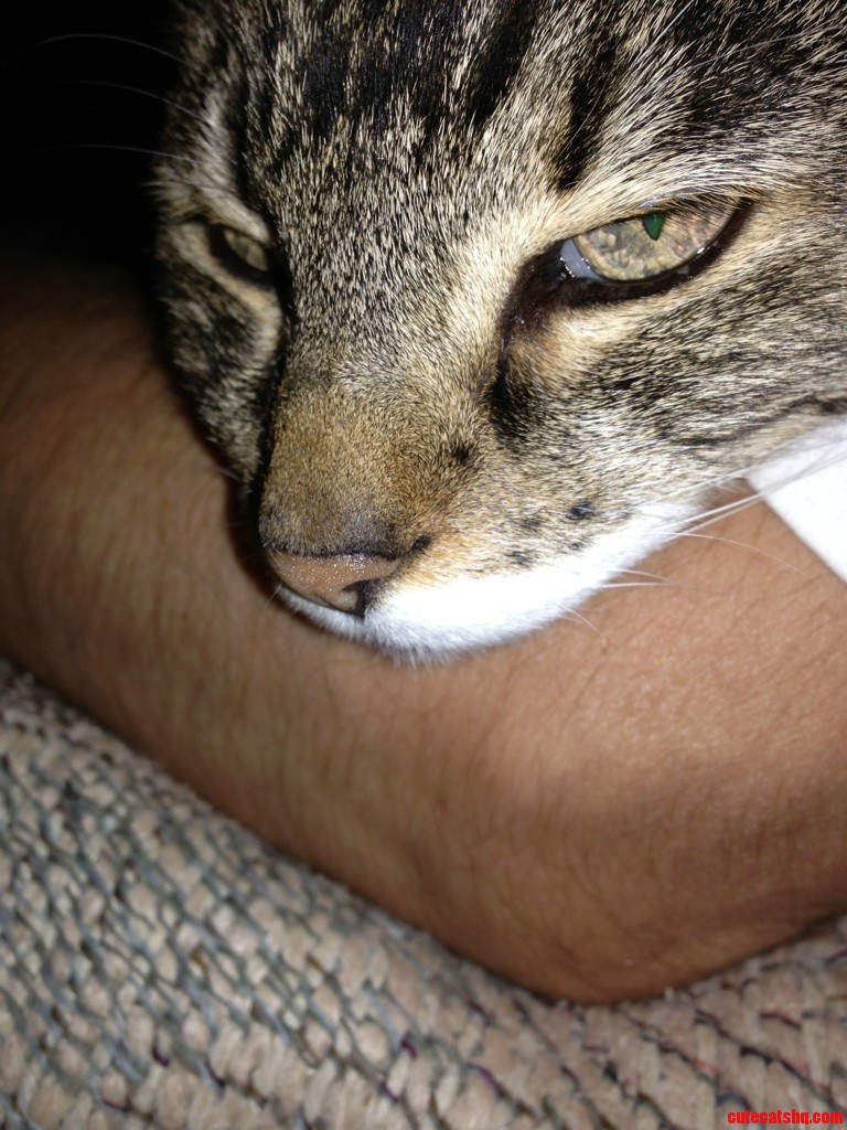 My 20 Year Old Also Likes Arm Pillows.