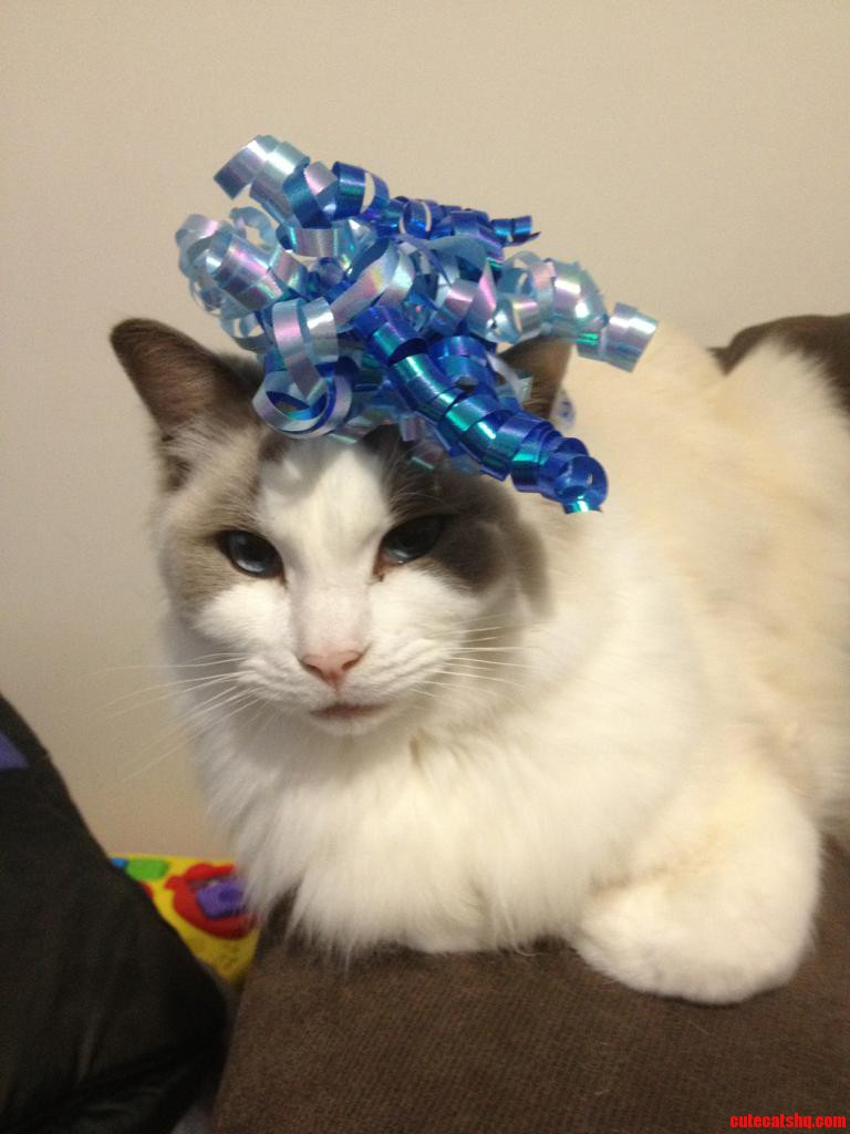 My Beautiful Boy Is Very Tolerant