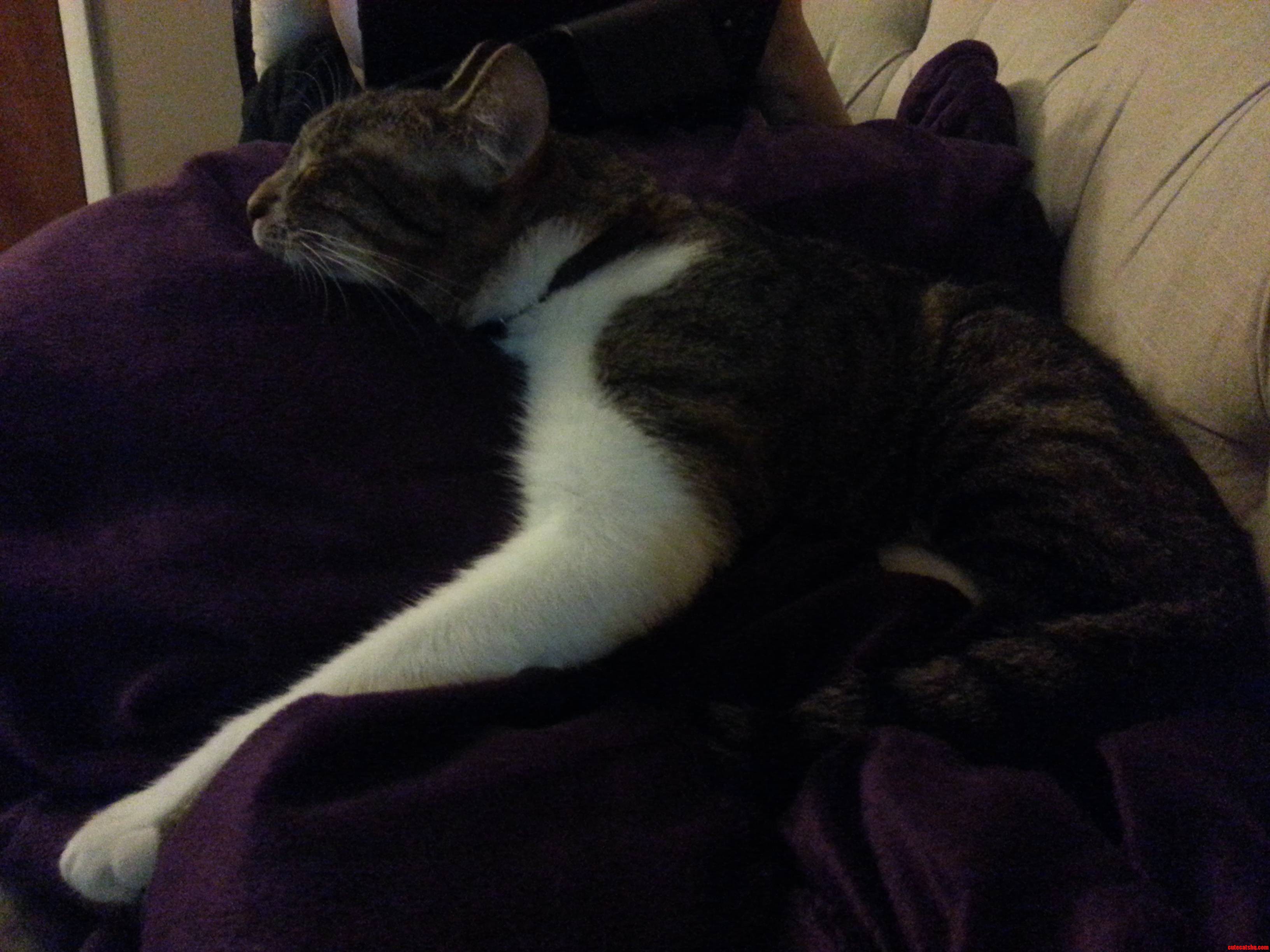 My Friends Cast Likes to Cuddle with Her Legs