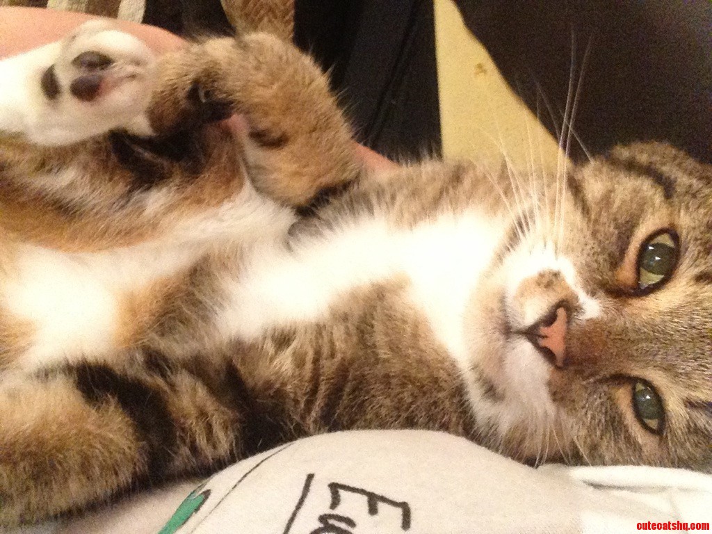 My Handsome Prince