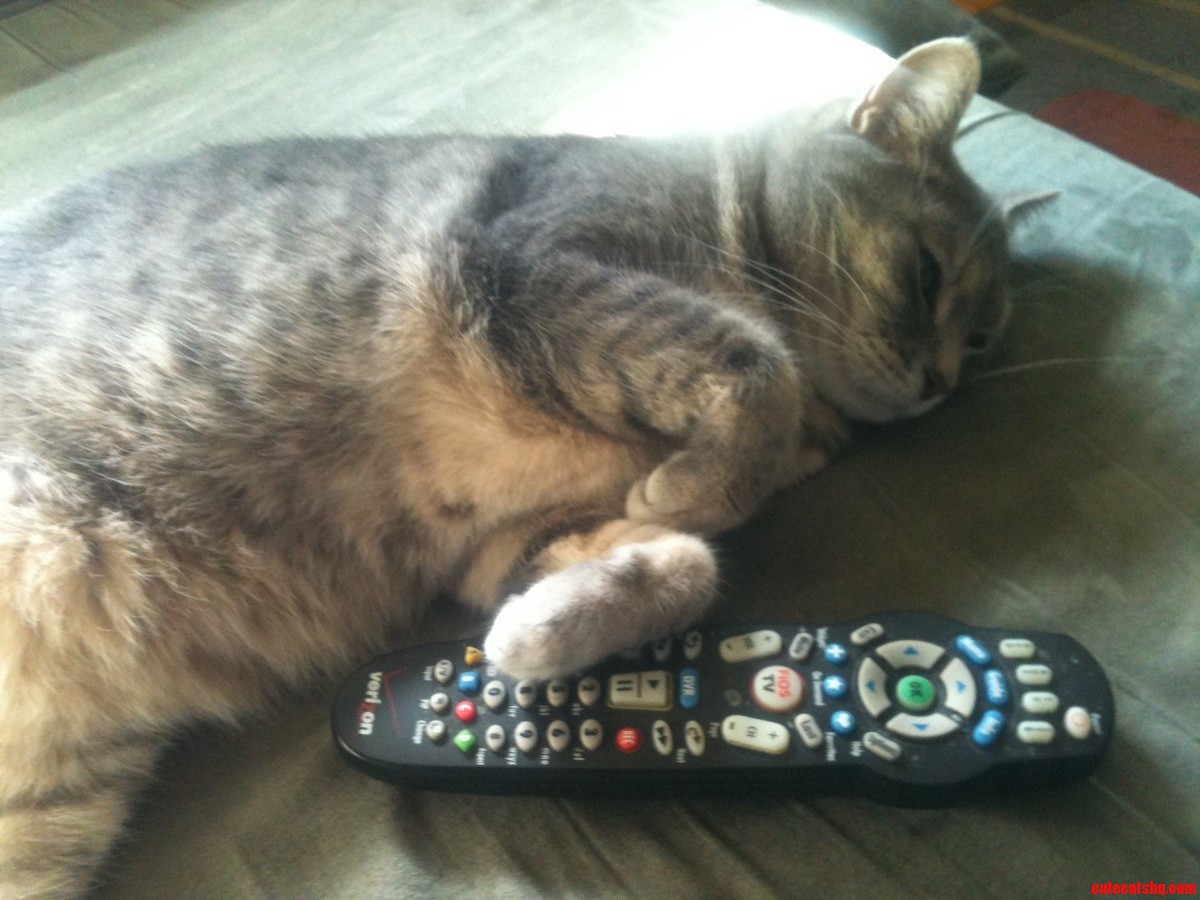 My Little Couch Potato Taking After Her Father.