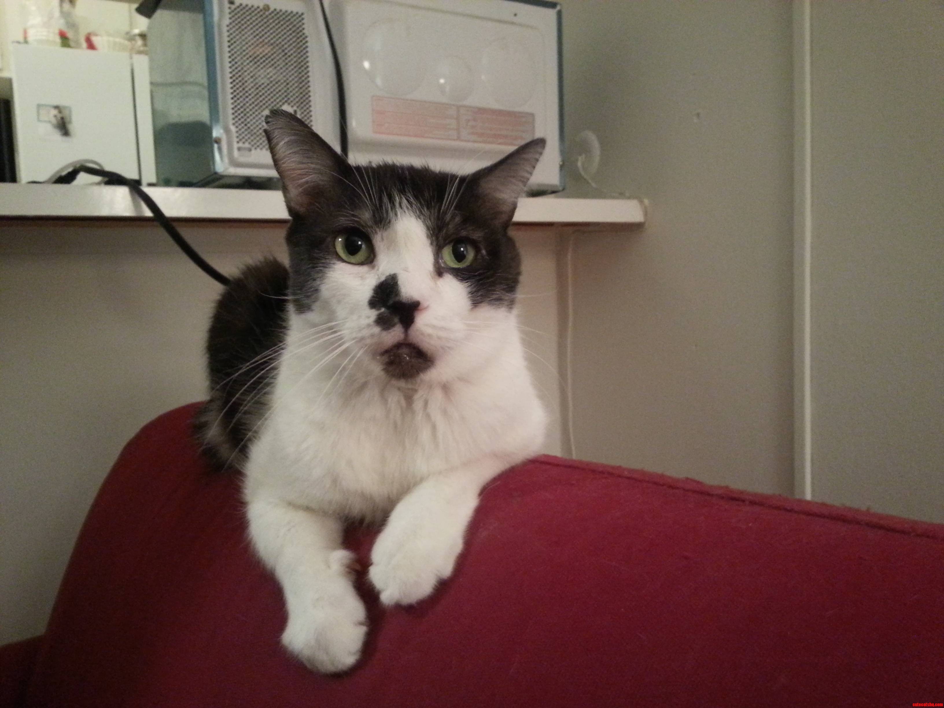 My Pio You Sure Are Handsome