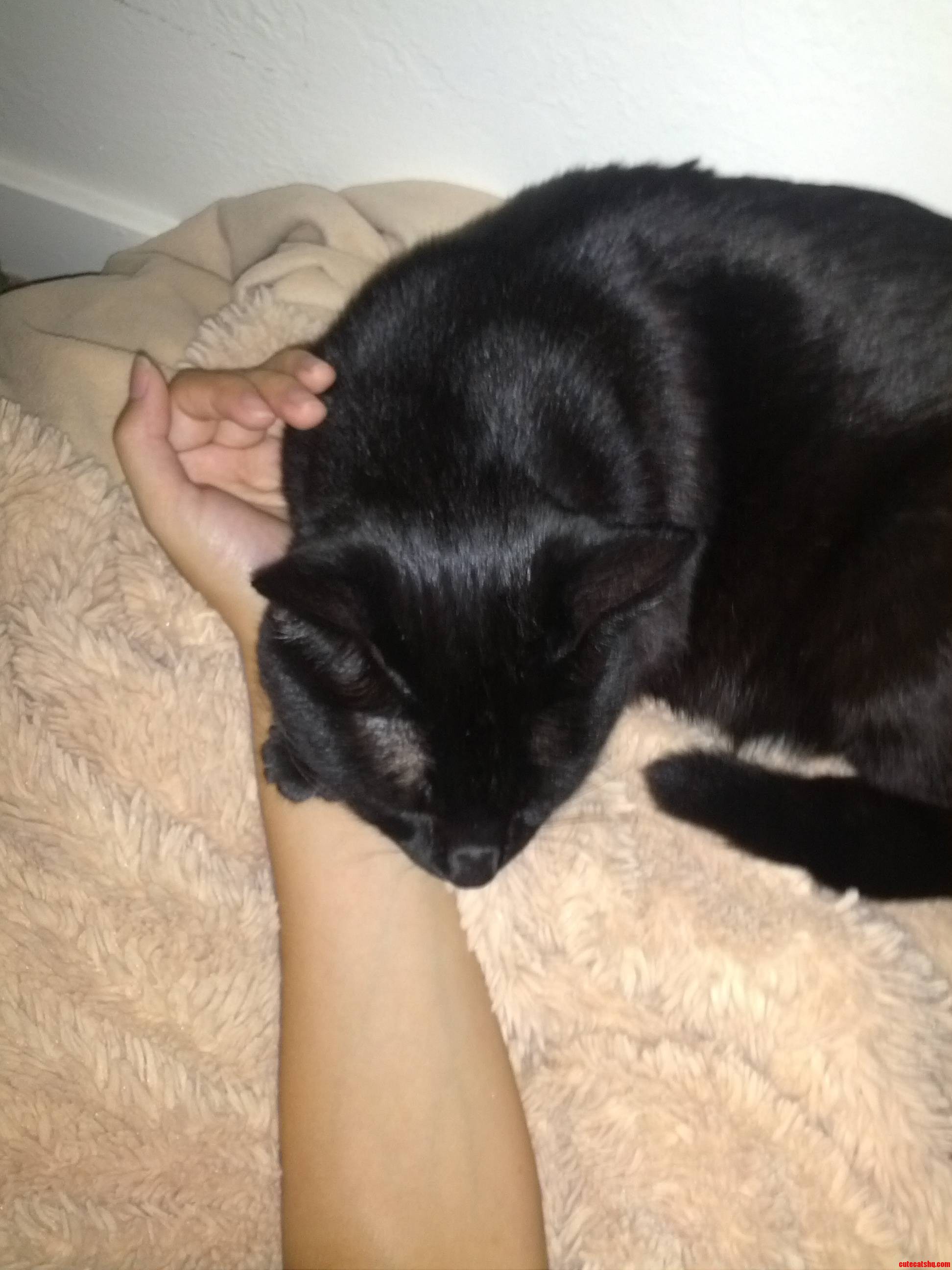 My Sparrow Is So Cuddly