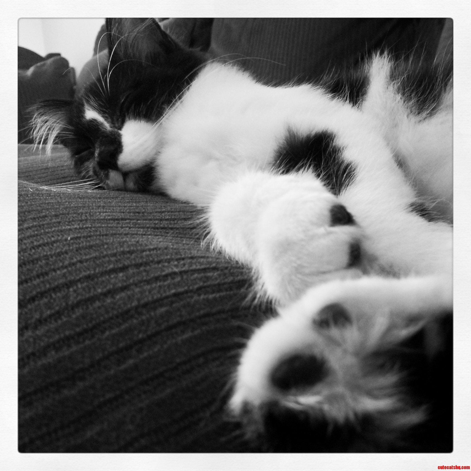 Nap Time