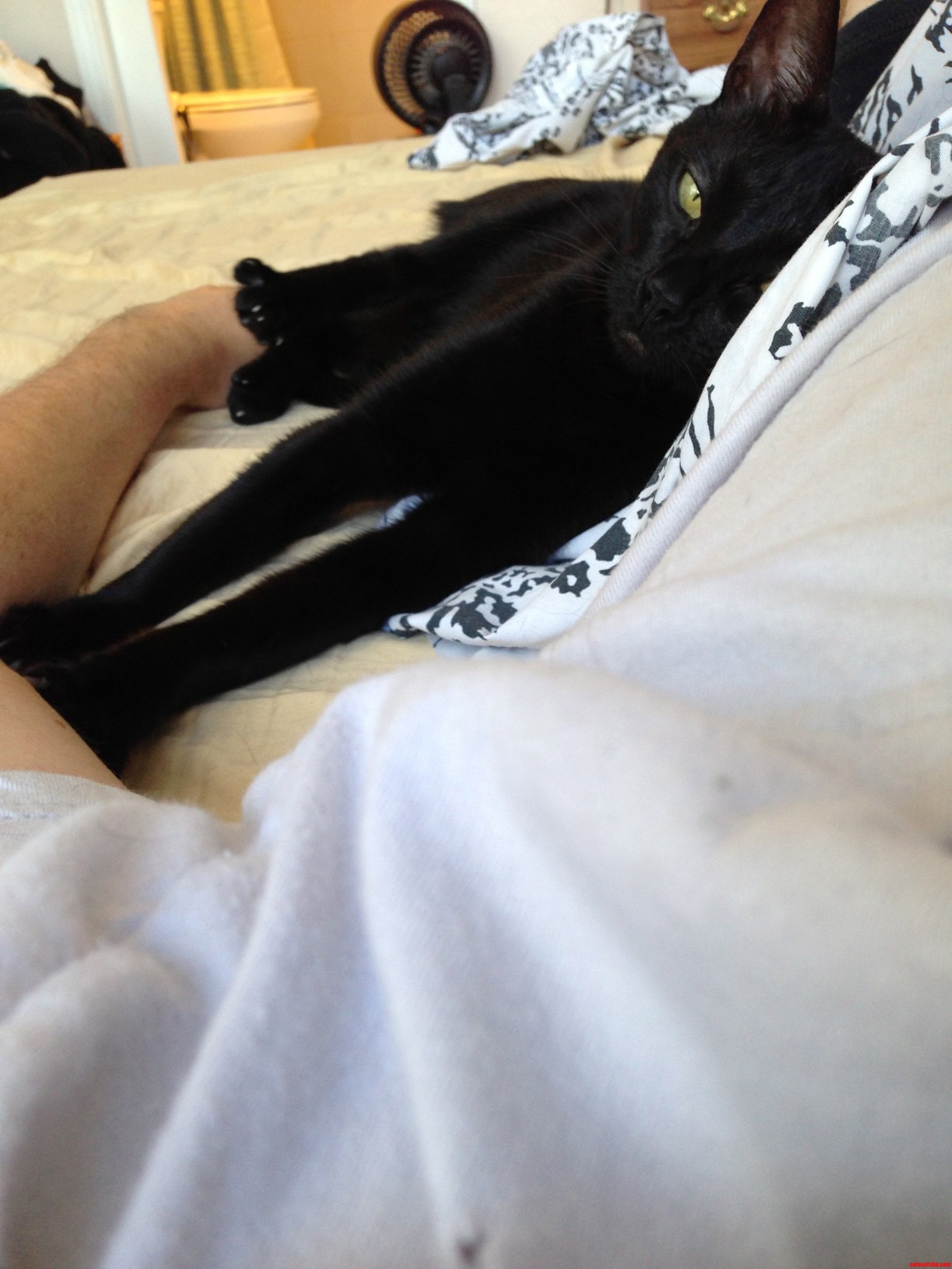 Nap Time.