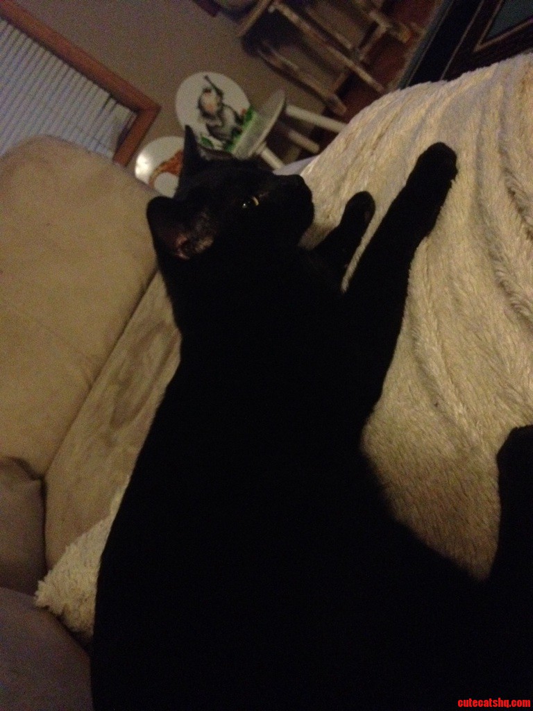 Not So Wee Ichabod