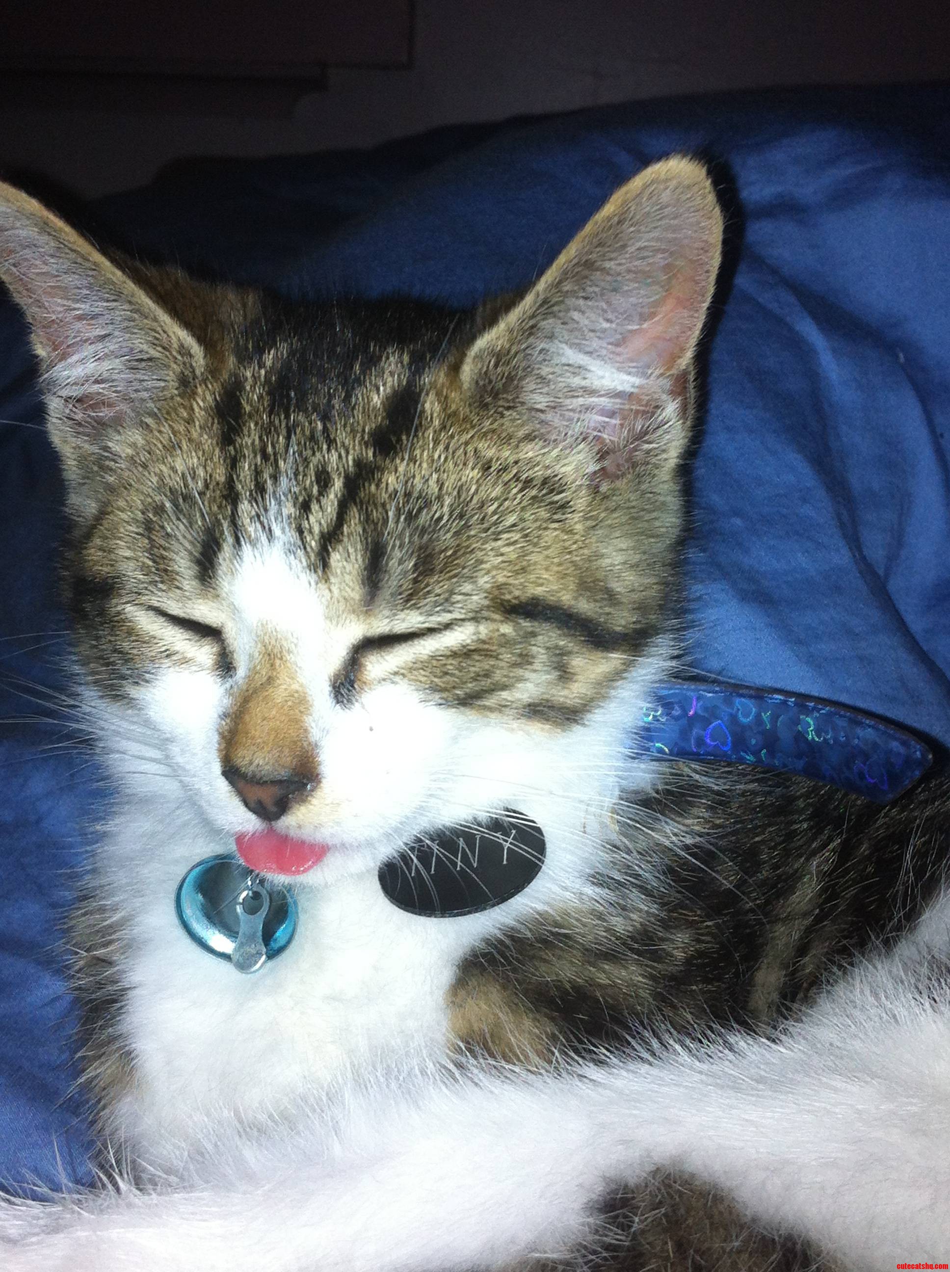 Not Too Clever  but Hes My Baby Boy. Meet Tiny