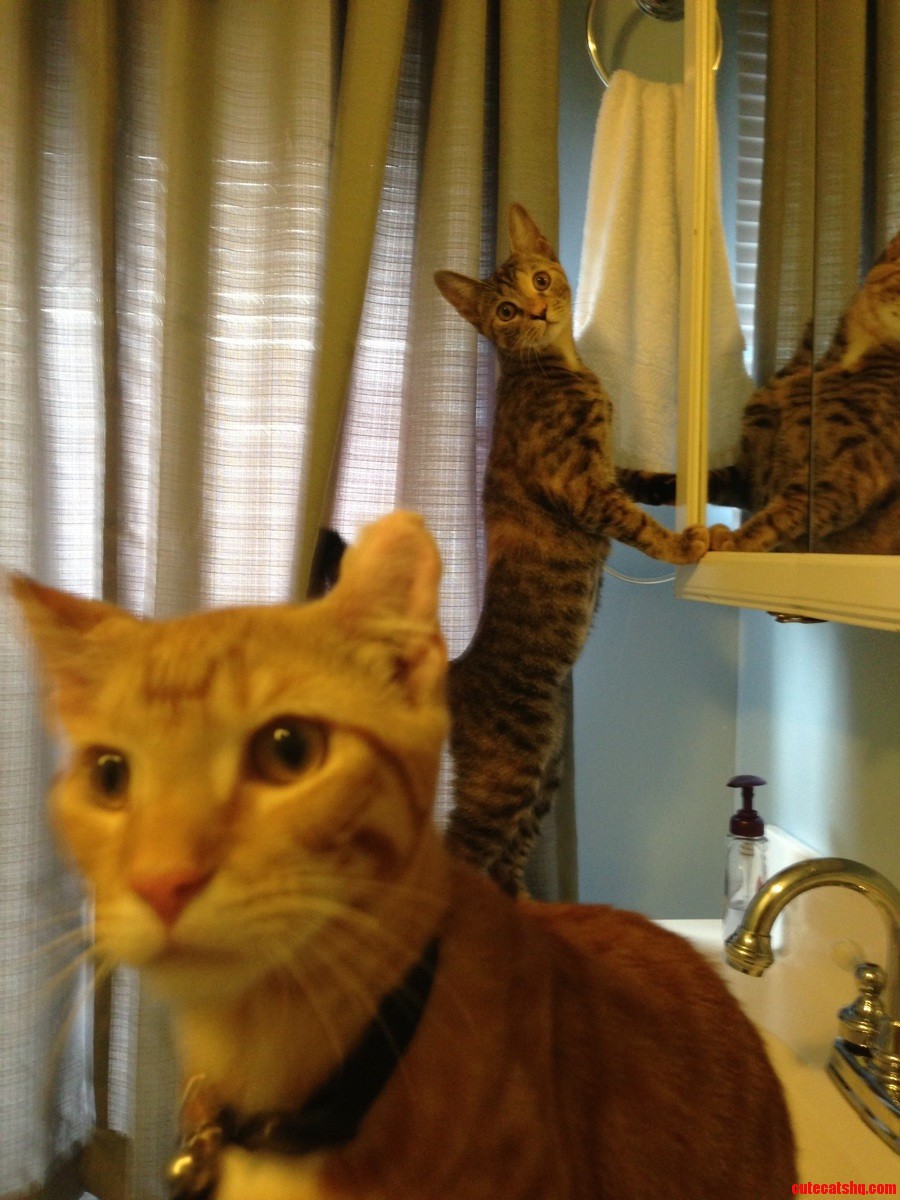 Oh  You Re Peeing