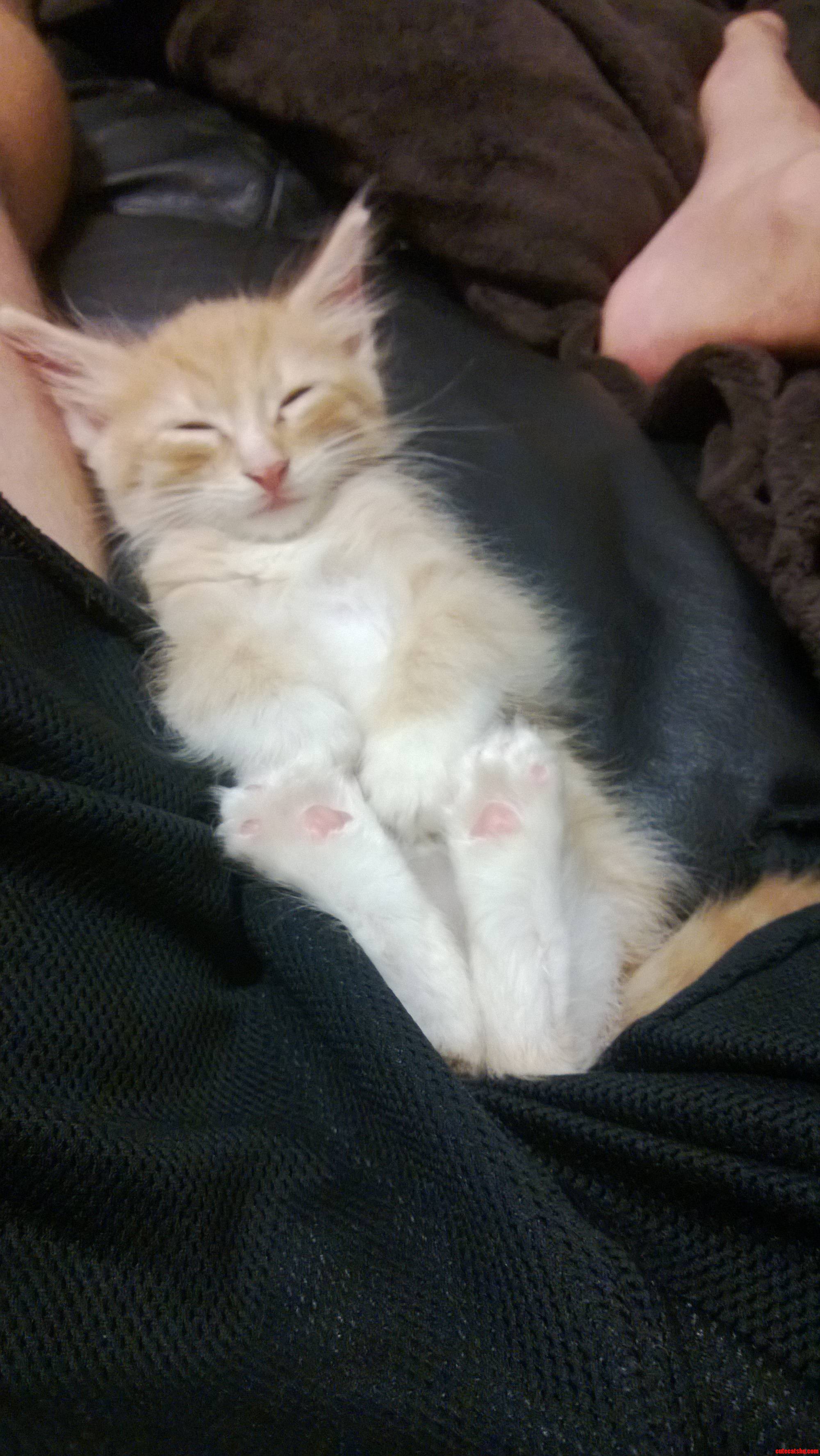 Osiris the Cuddler