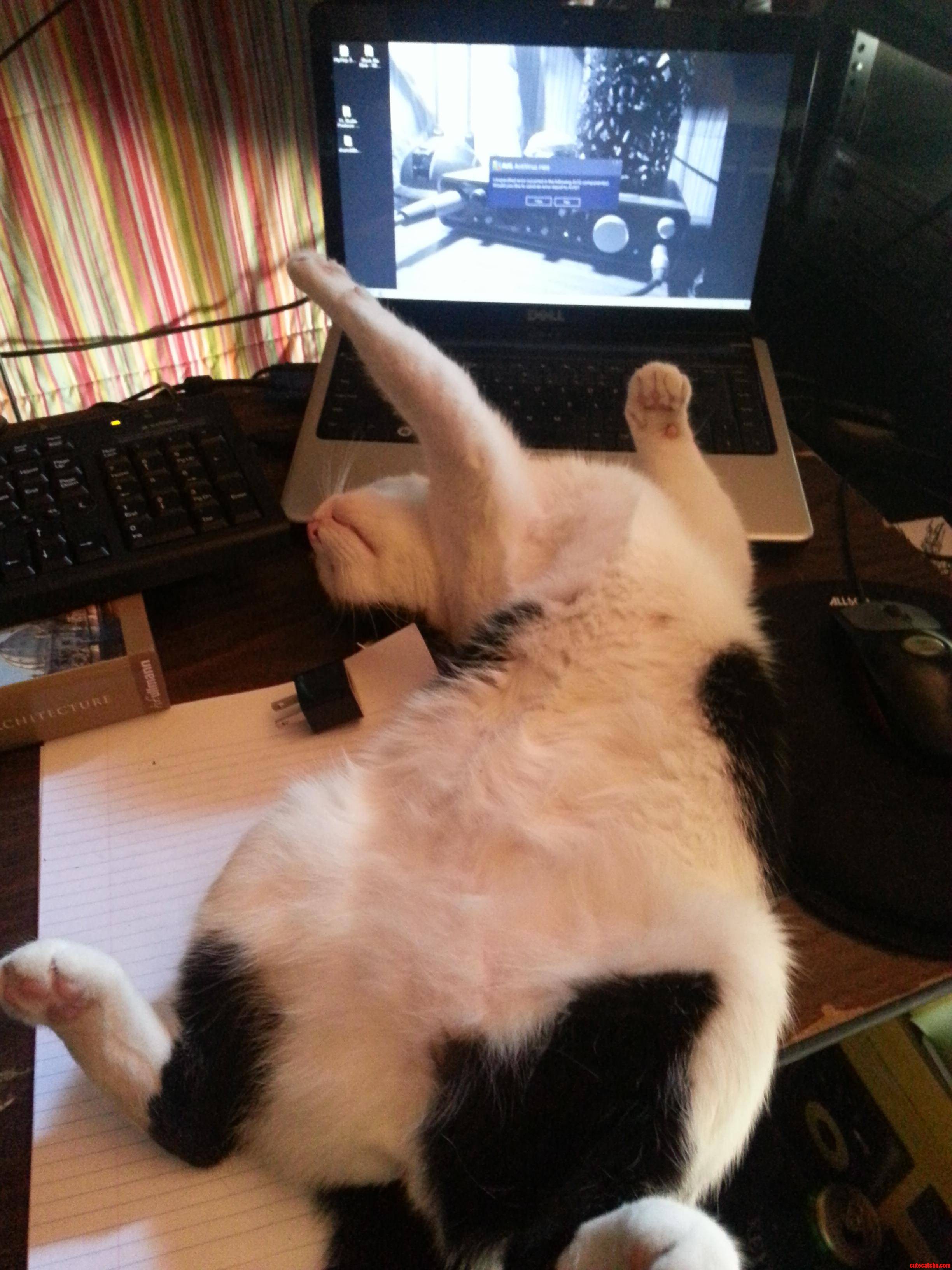 Pandora Thinking She Owns the Place.