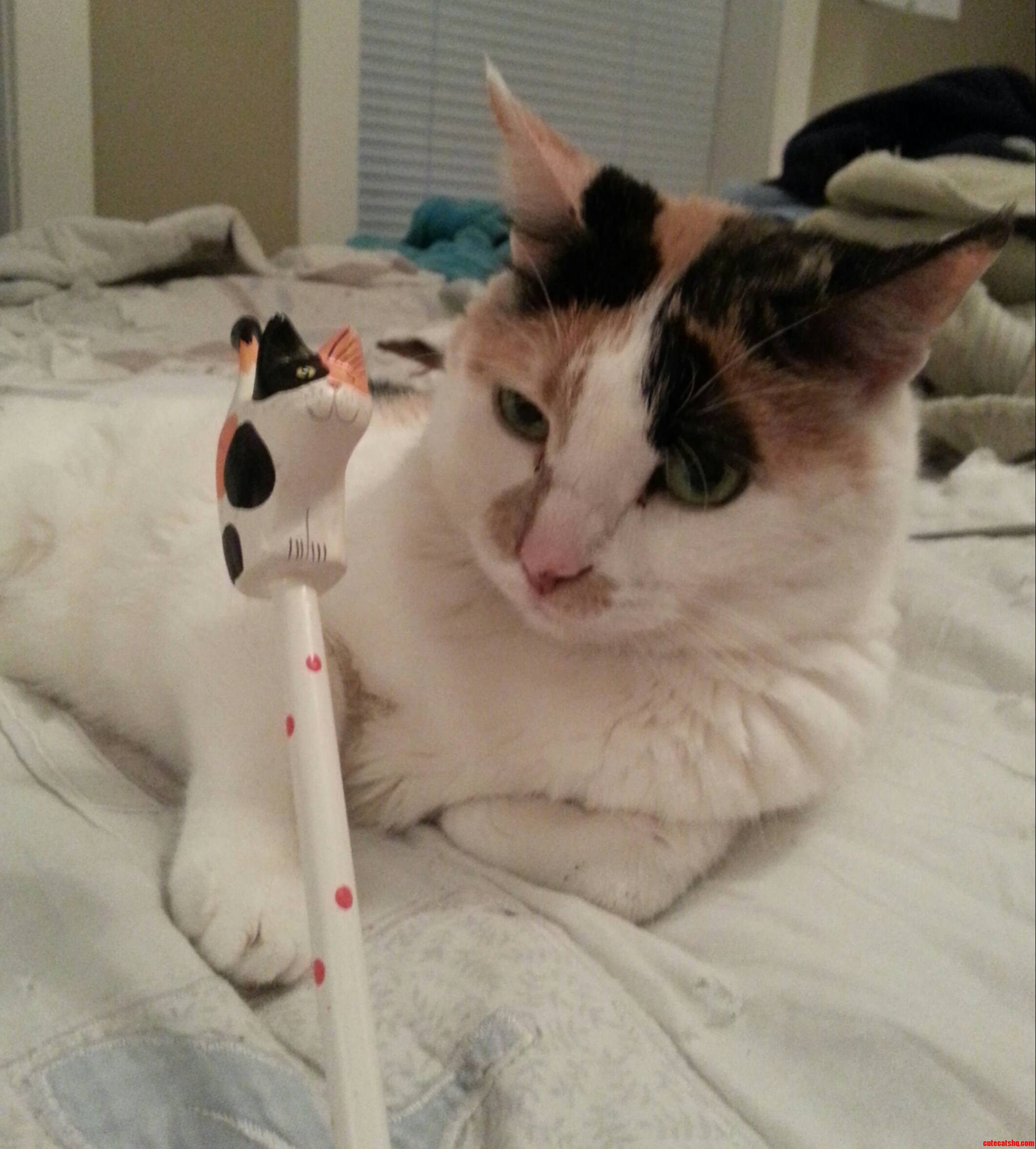 Pencil Cat Looks Just Like My Cat