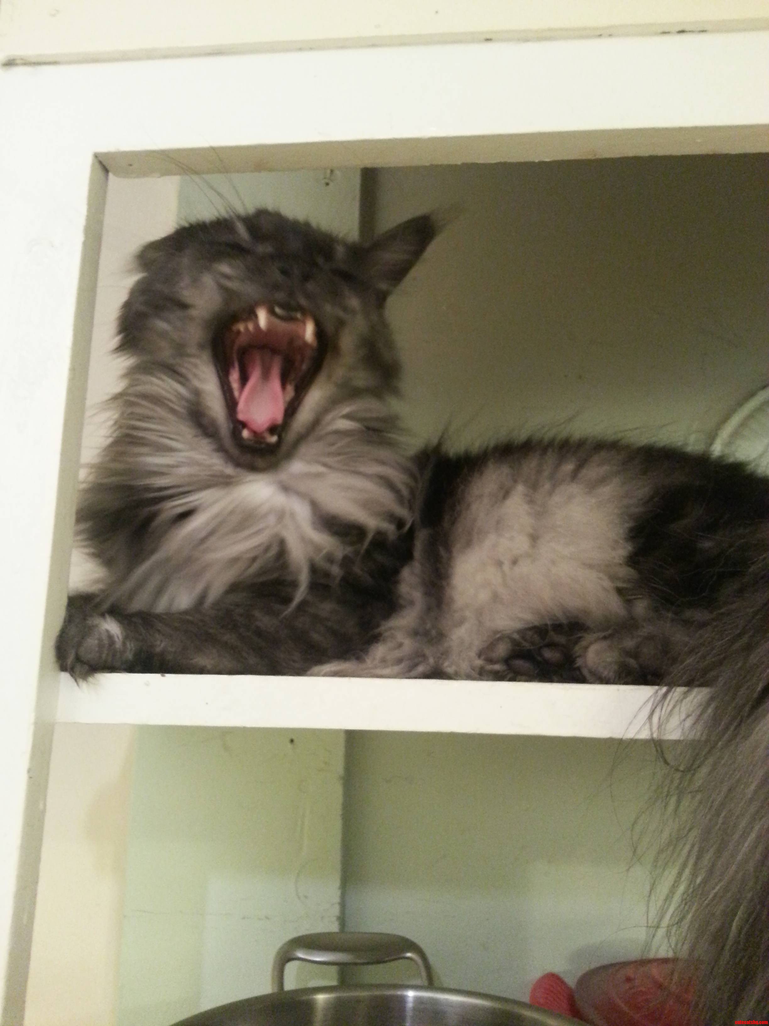 Perfect Timing.