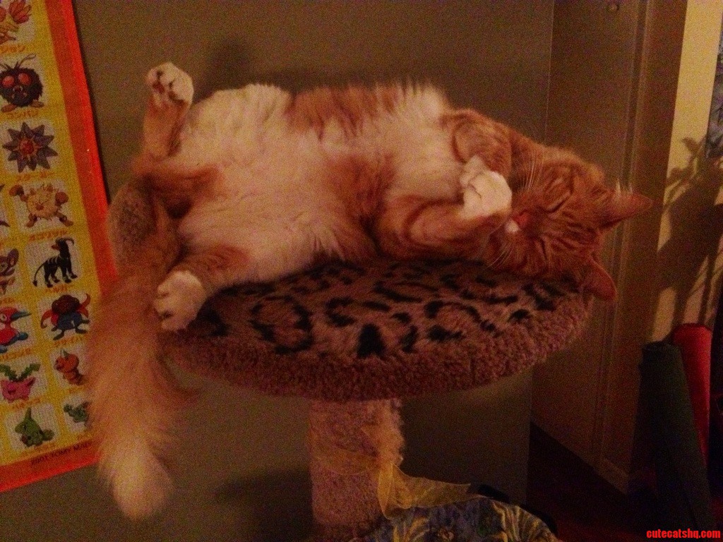 Pretty Sure Navi Is Plotting Something Evil in Her Sleep...