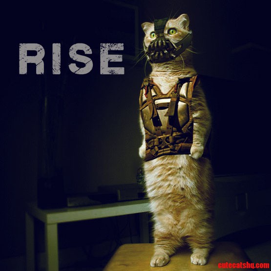 Rise.