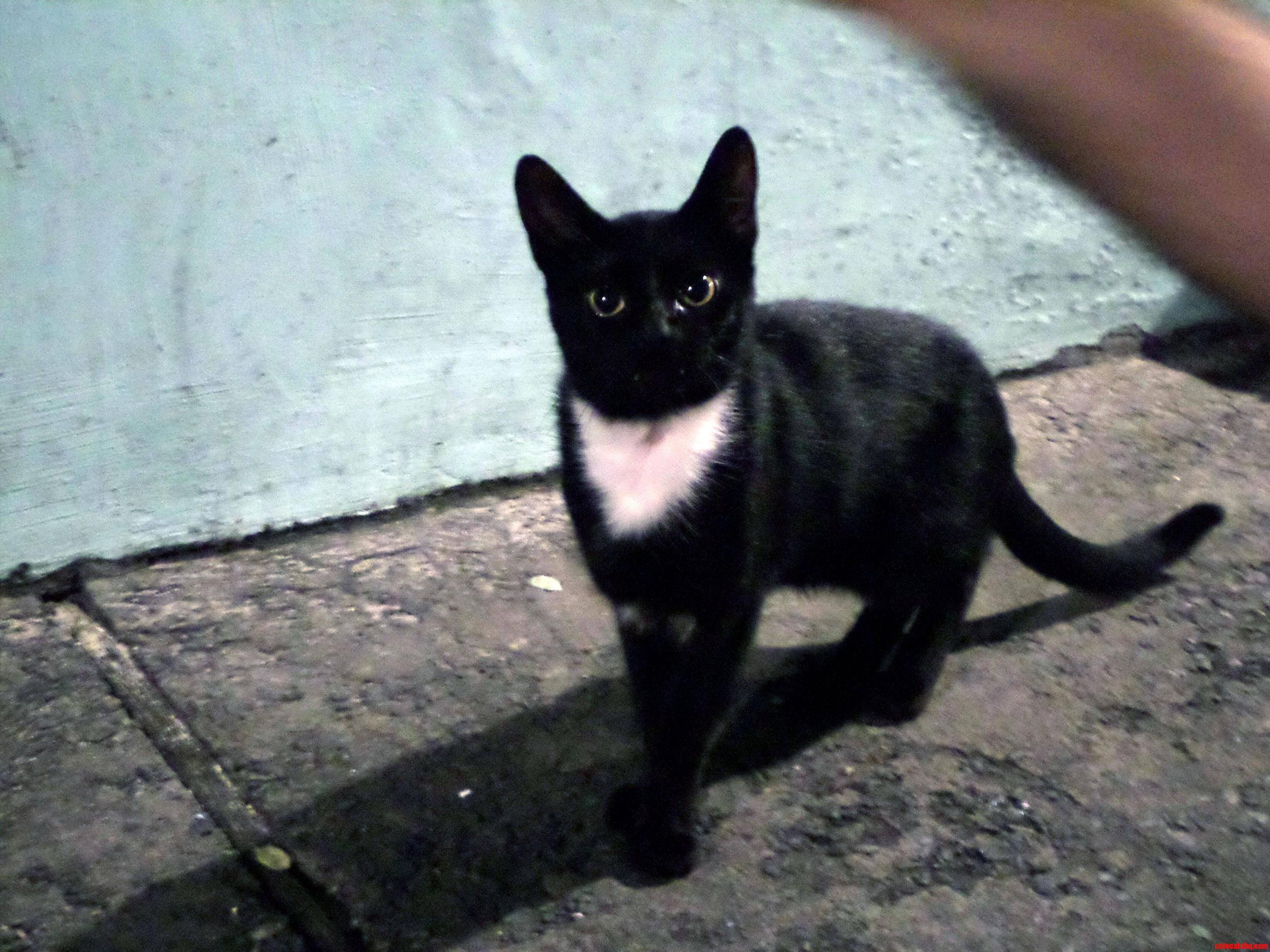 Saw This Cute in Salvador Brazil This Past Summer.
