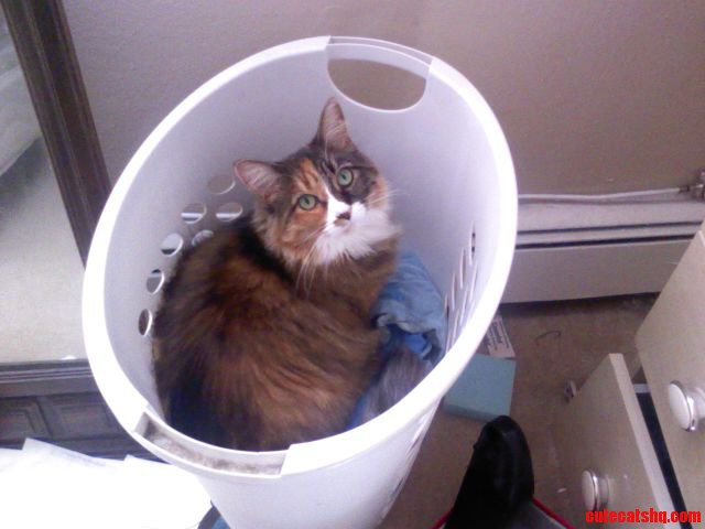 She Looks Guilty... Haha
