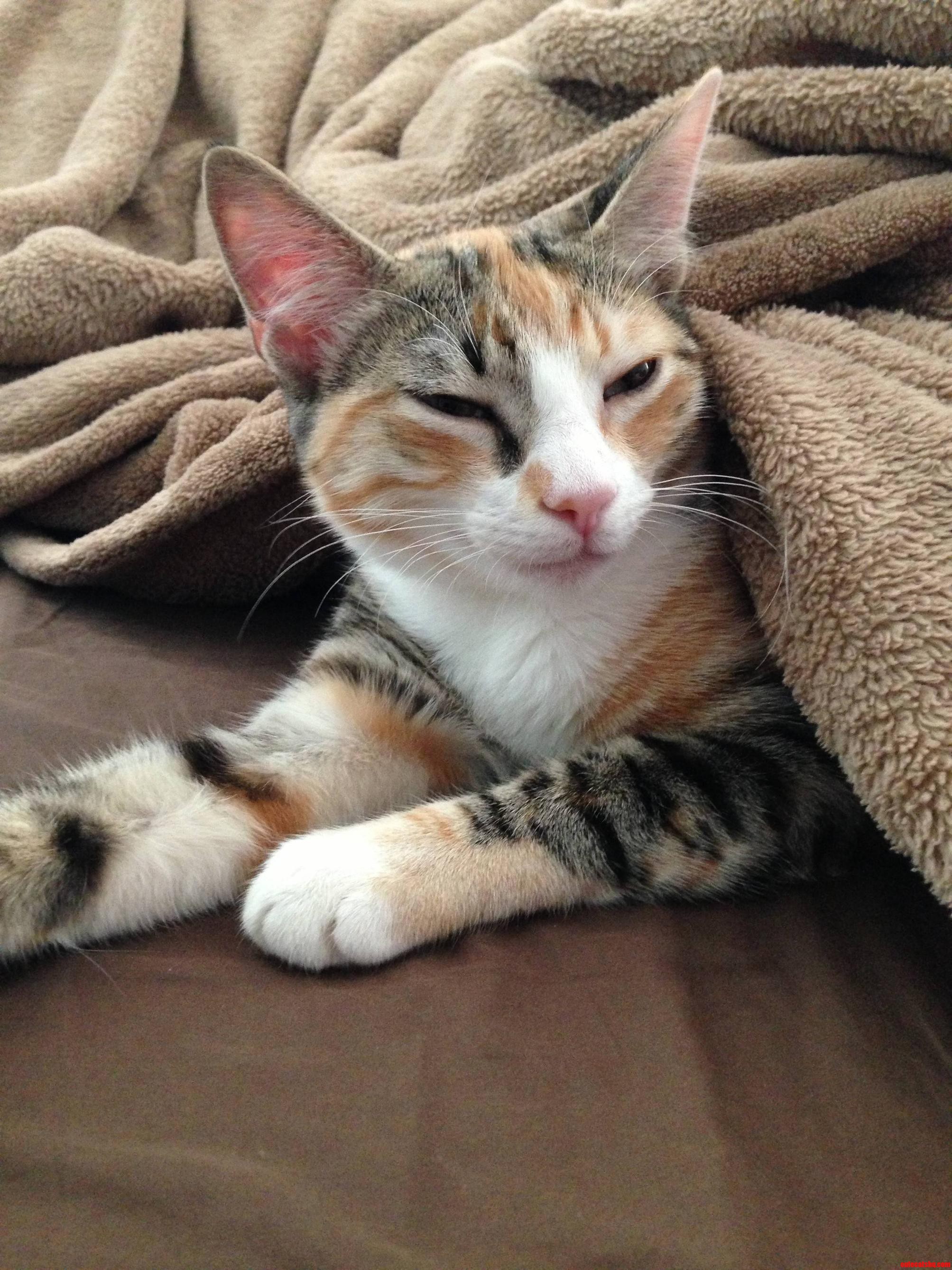 She Loves to Snuggle.