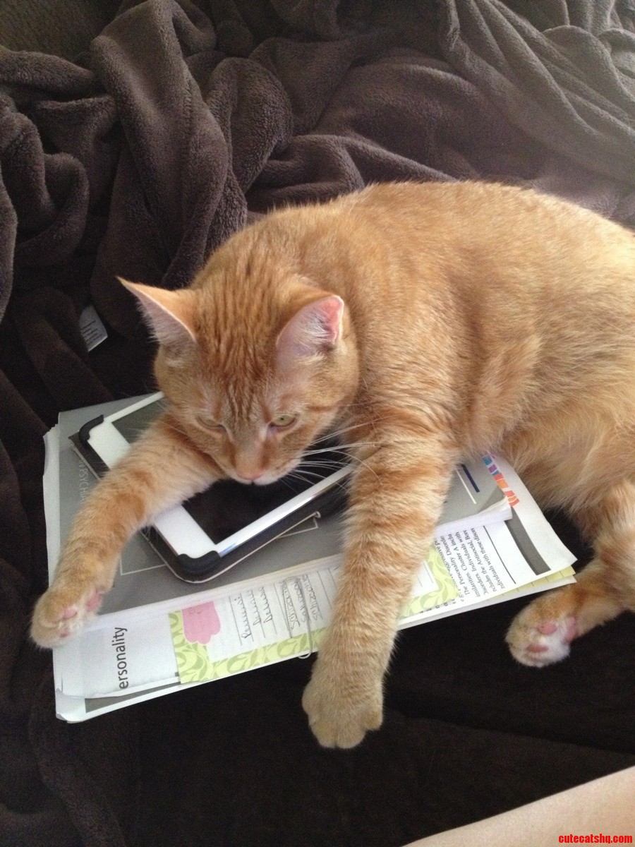 She Makes It Impossible to Study.