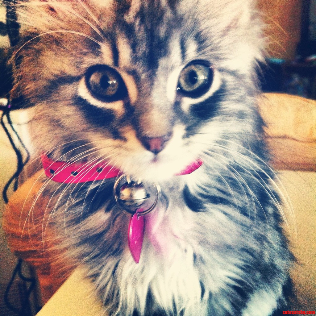 She May Look Like an Angel  but Shes Really the Devil Reincarnate.