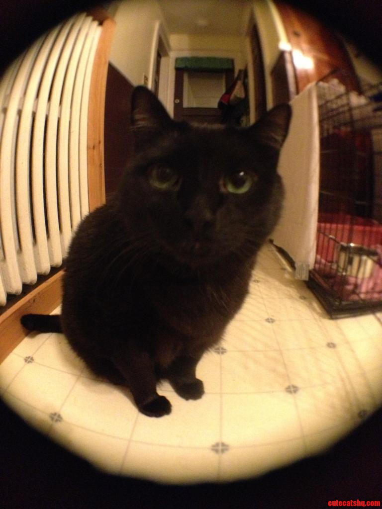 She S Pretty Shy. Say Hi to My Girl Foster