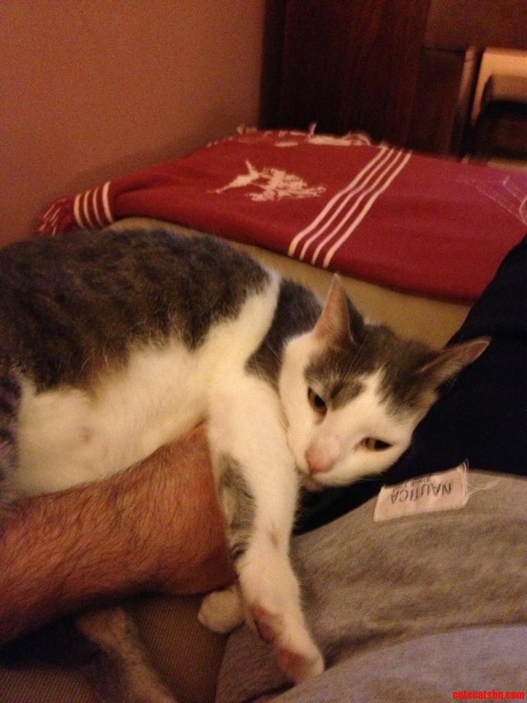 Shes Comfy.