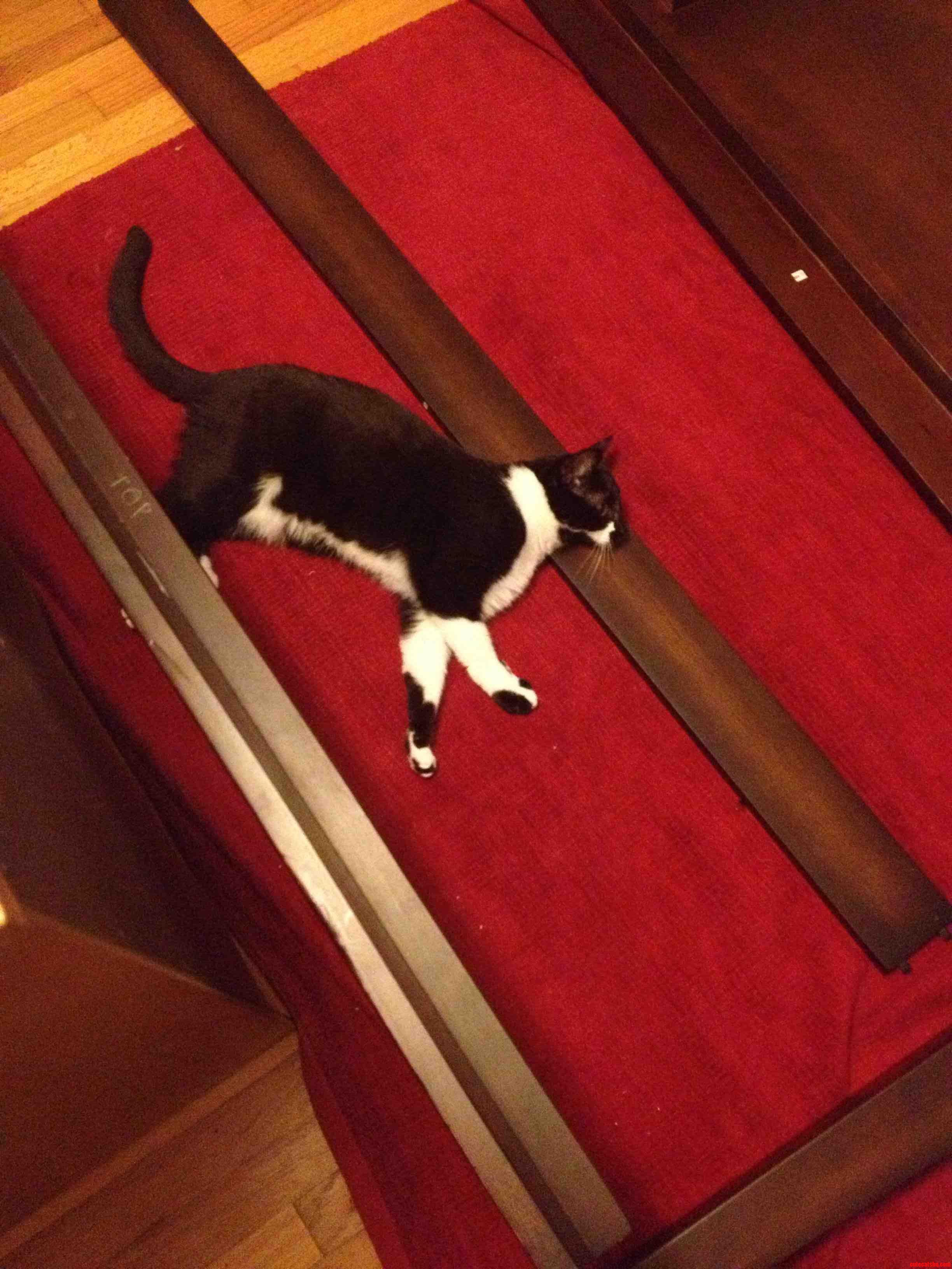 Shes Helping Set Up Our New Bed