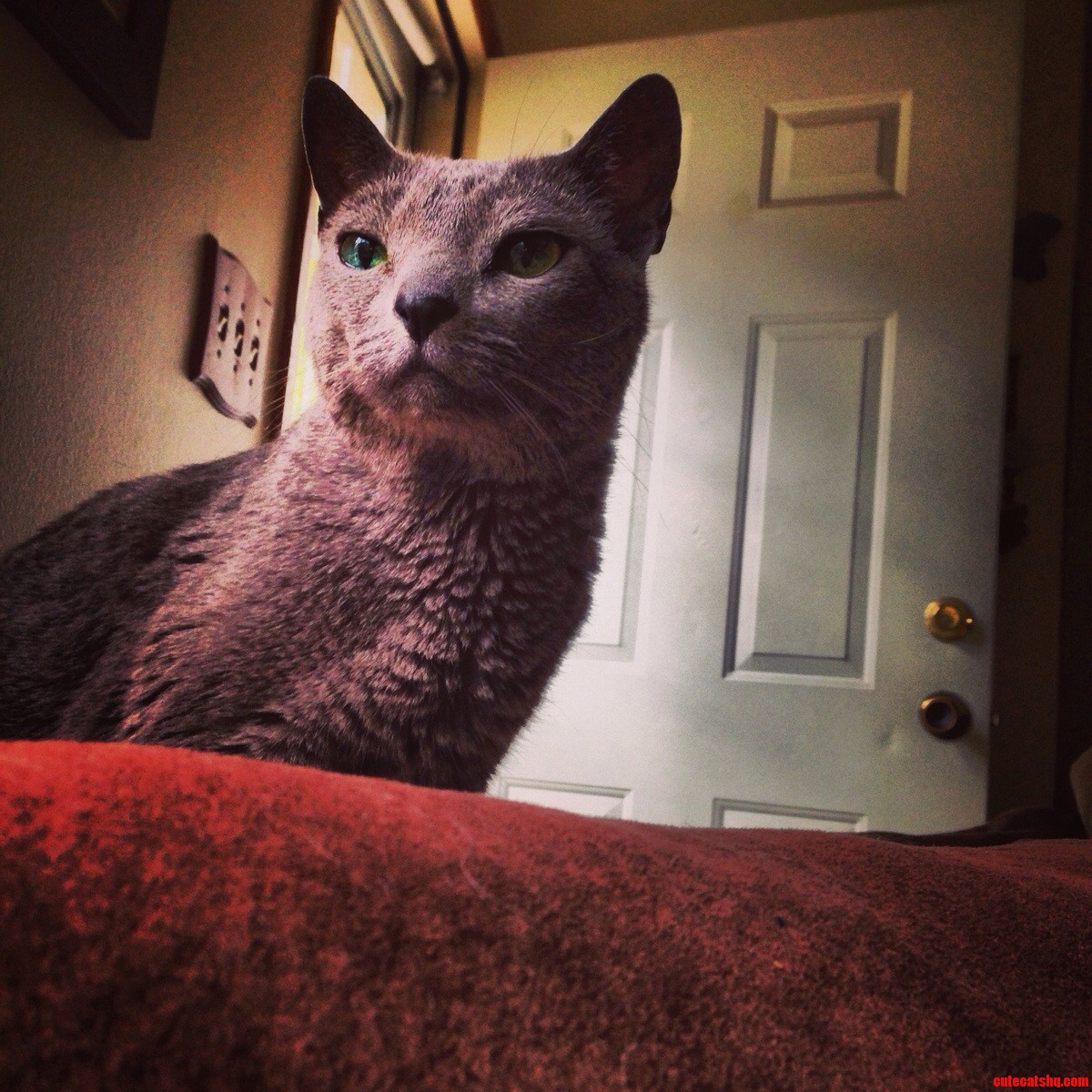 Simply Majestic.
