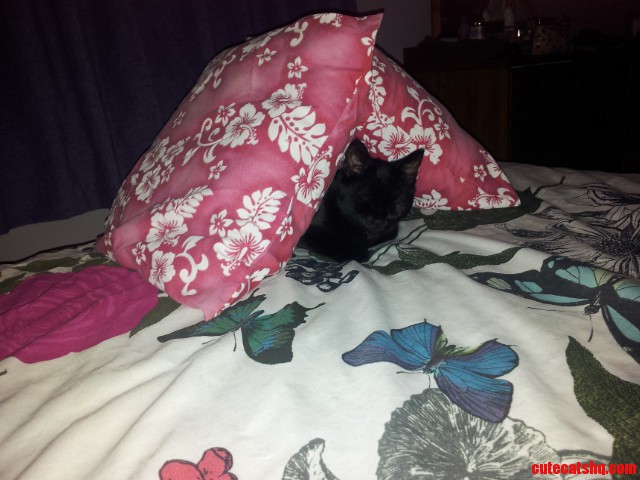 Sleeping in Her Fortress