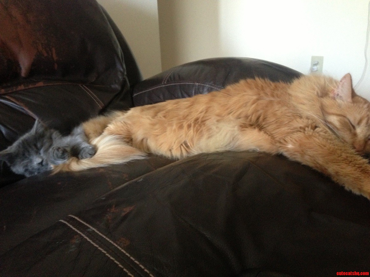 Sleepy Boys