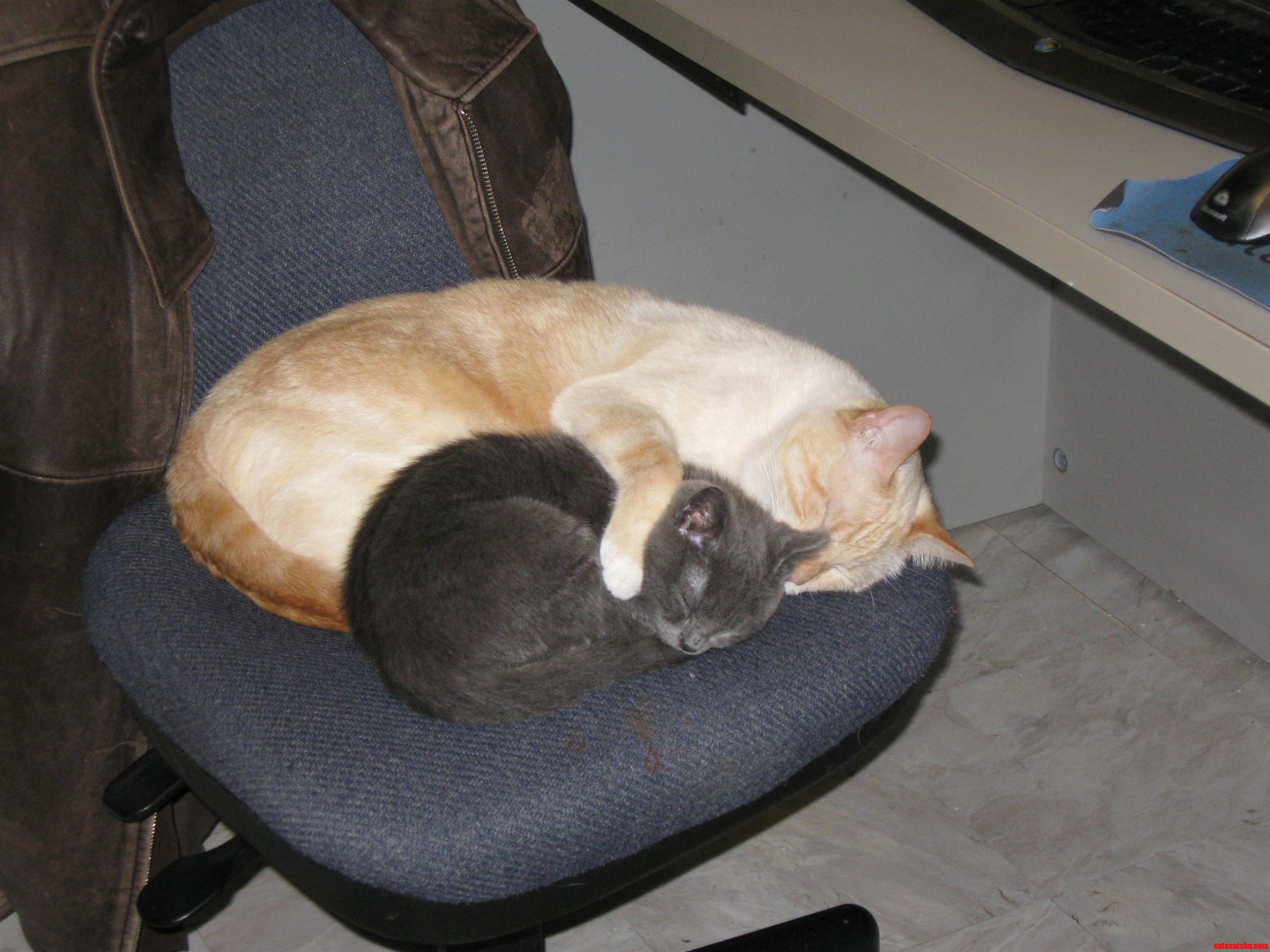 Snuggle Time.