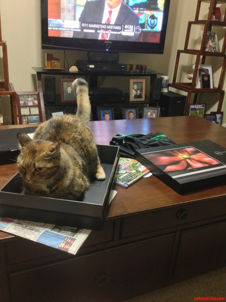 So I Got This New Laptop...
