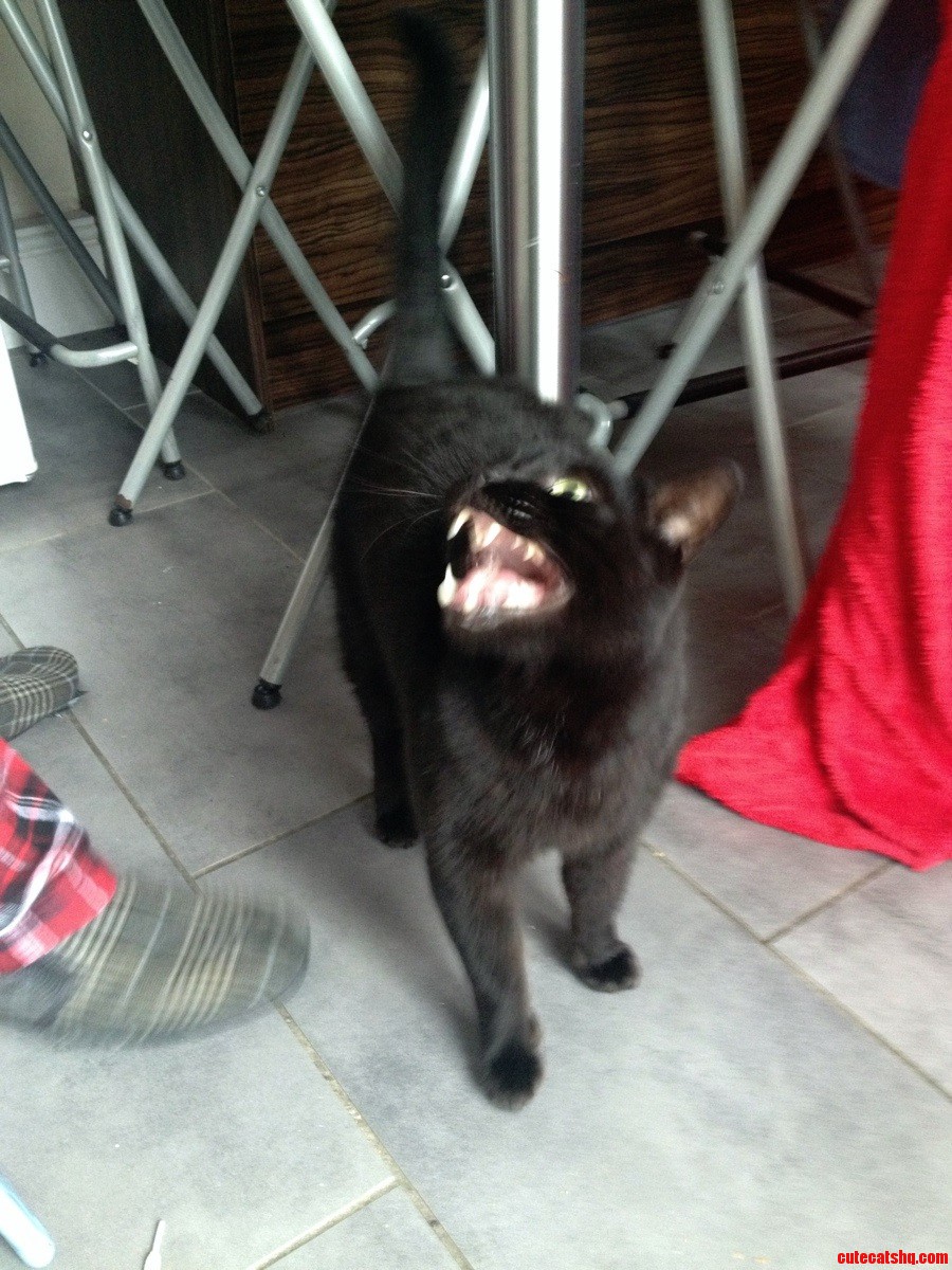 So I Think Hes Hungry..