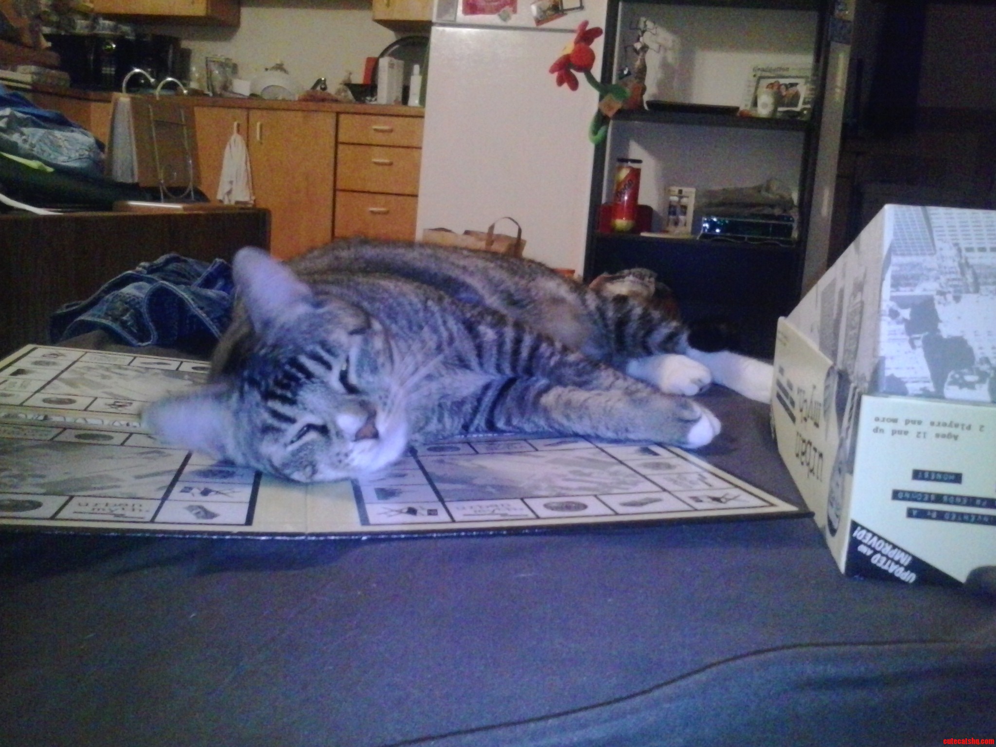So Much for Game Night.