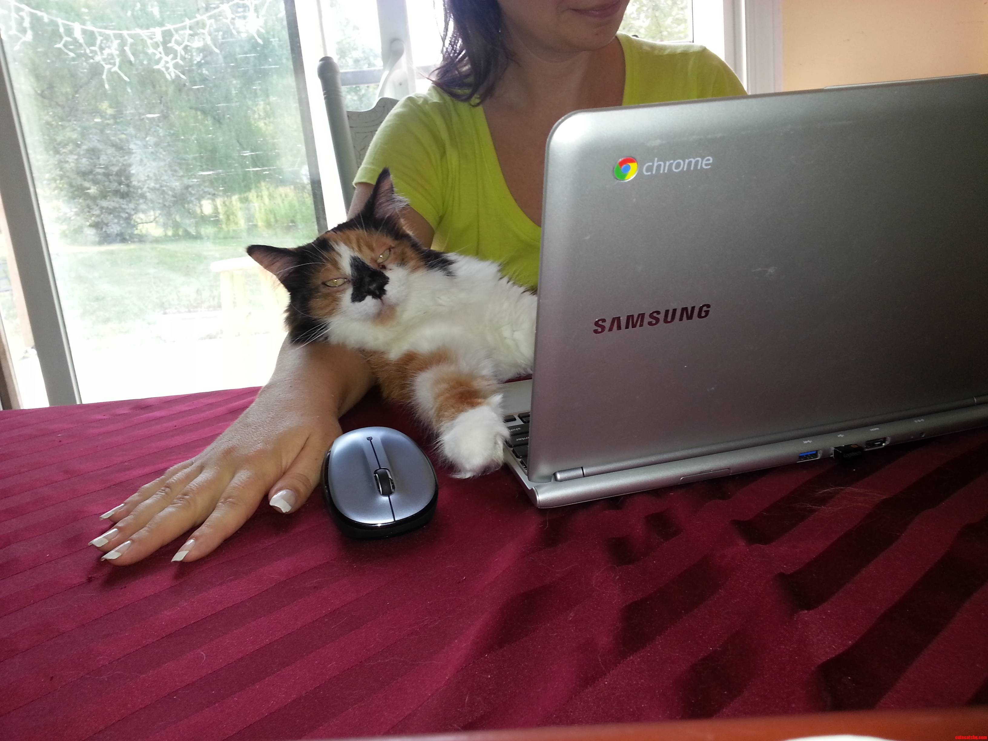 So Much Work.