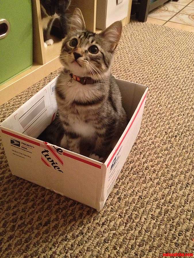 Special Delivery
