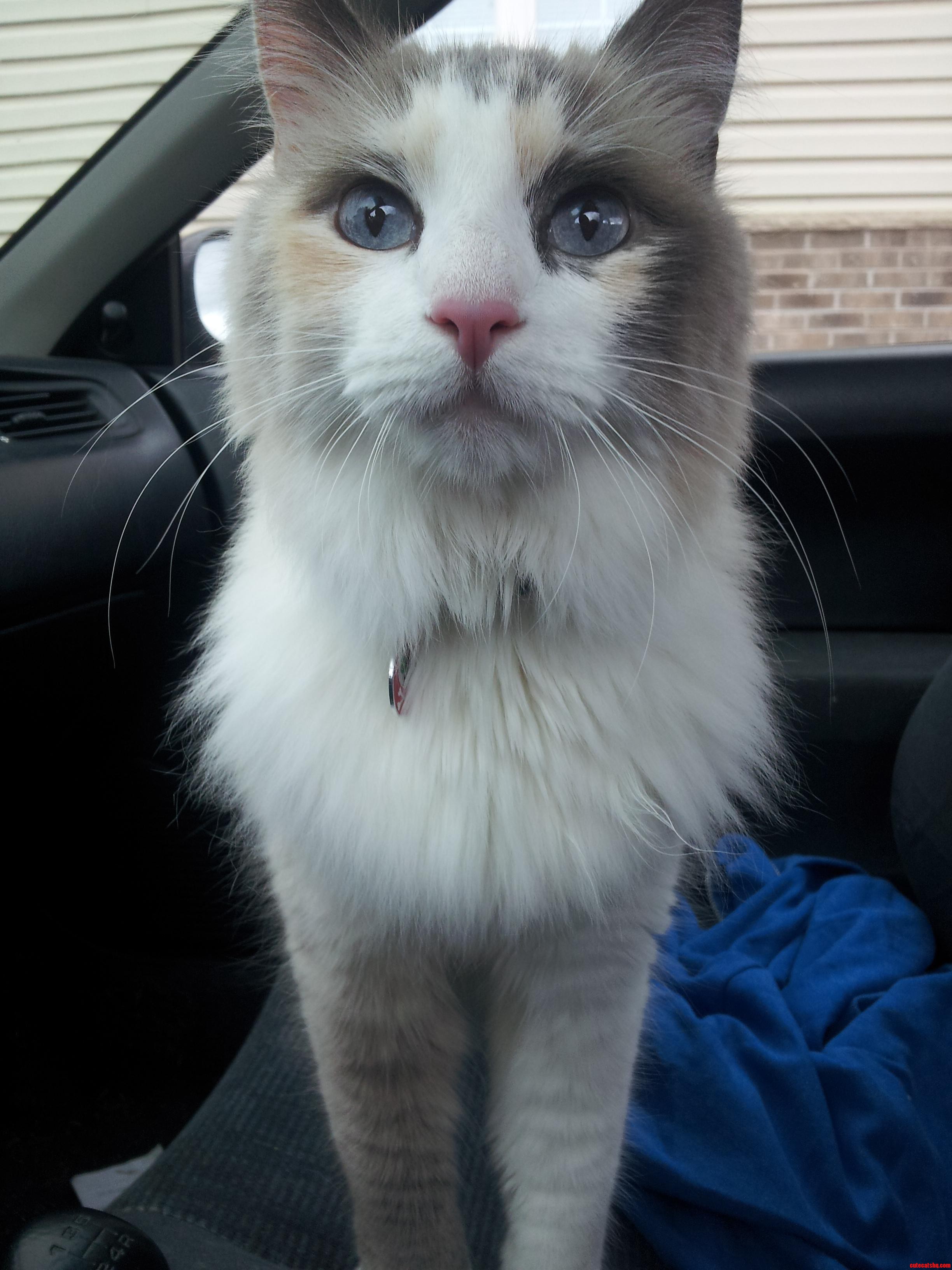 Squishy Needs a New Home