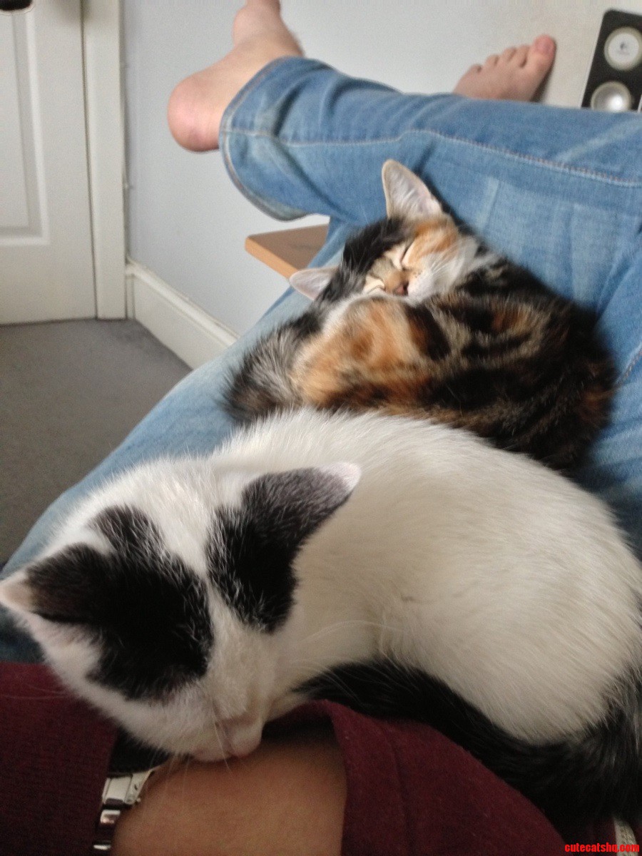 Stopping Me from Working