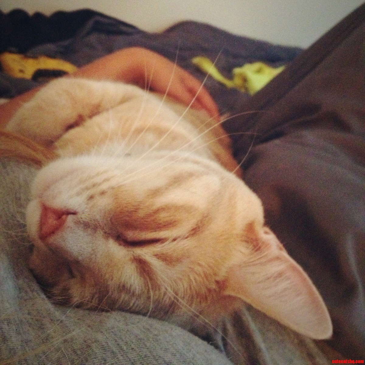 Such a Little Cuddle Bug