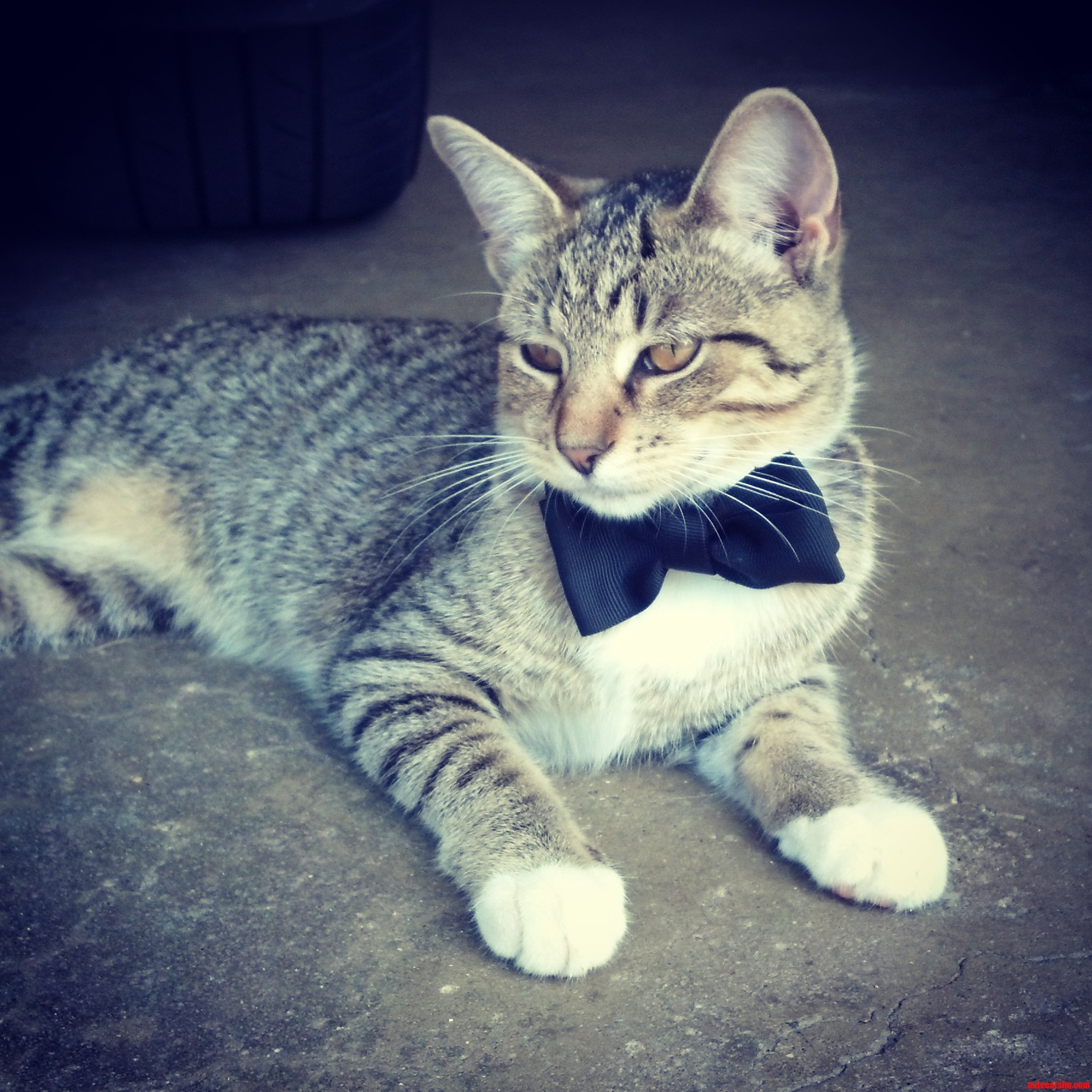 Suit Up.