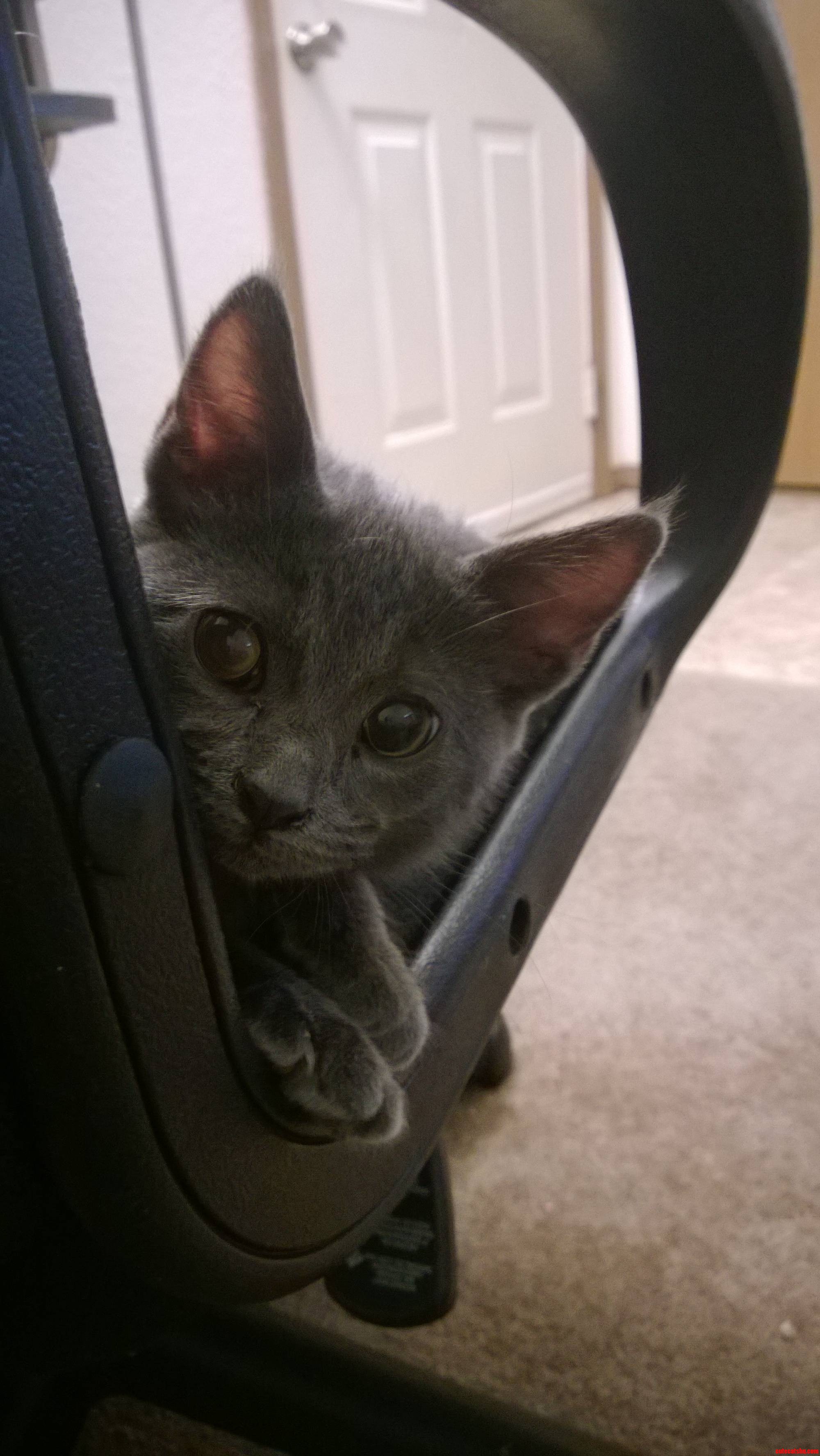 Sup
