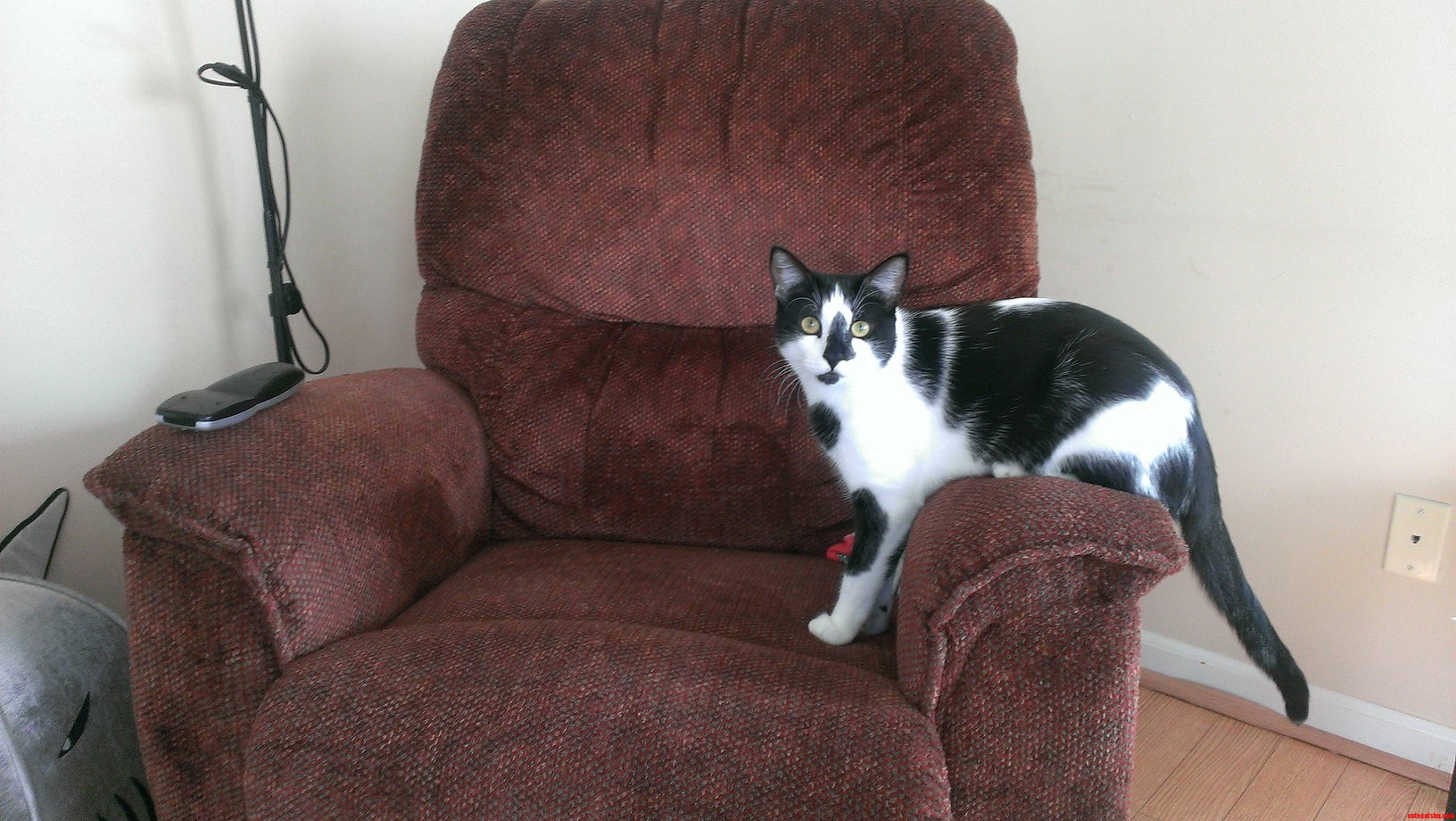 Thats Not How Chairs Work