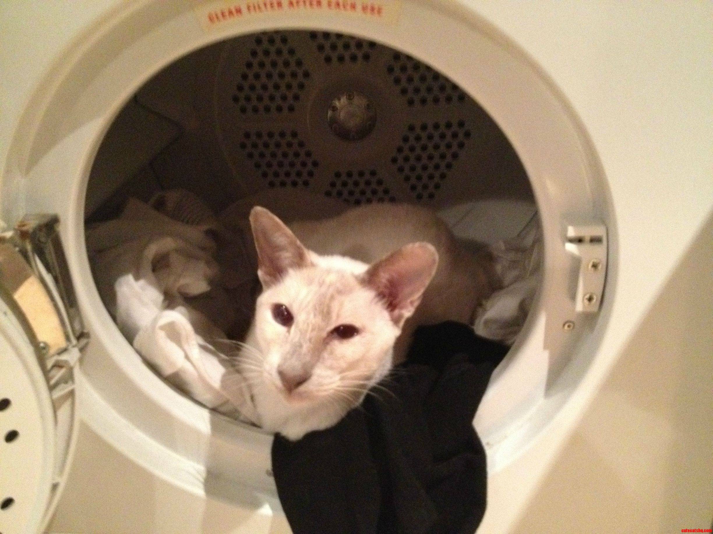 The Dryer Is Soooo Warm