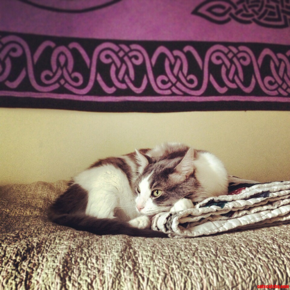 The Good Life