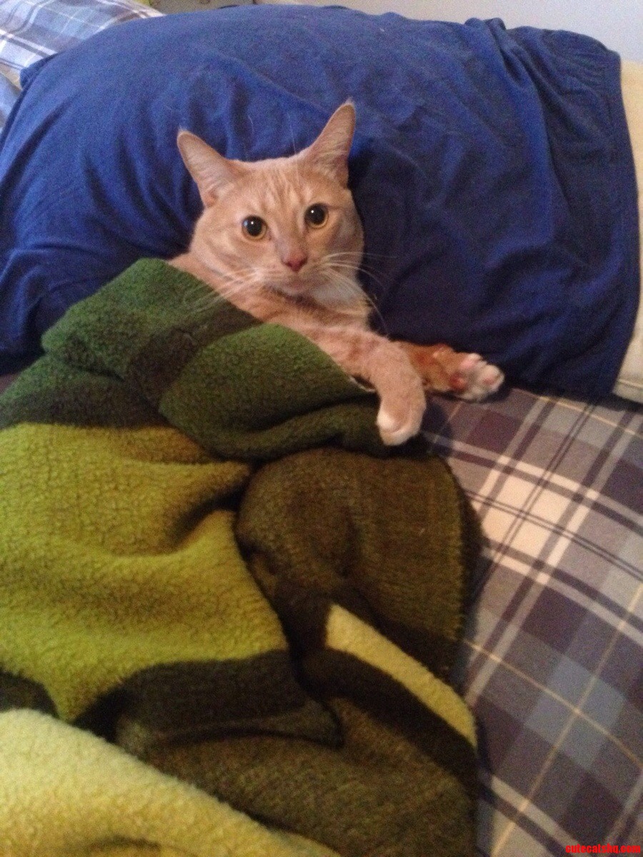 The Look He Gave Me Upon Waking Was a Mix of Horror and Bewilderment at What Stood in Front of Him