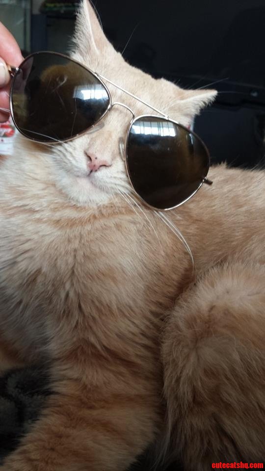 The Names Cooter.