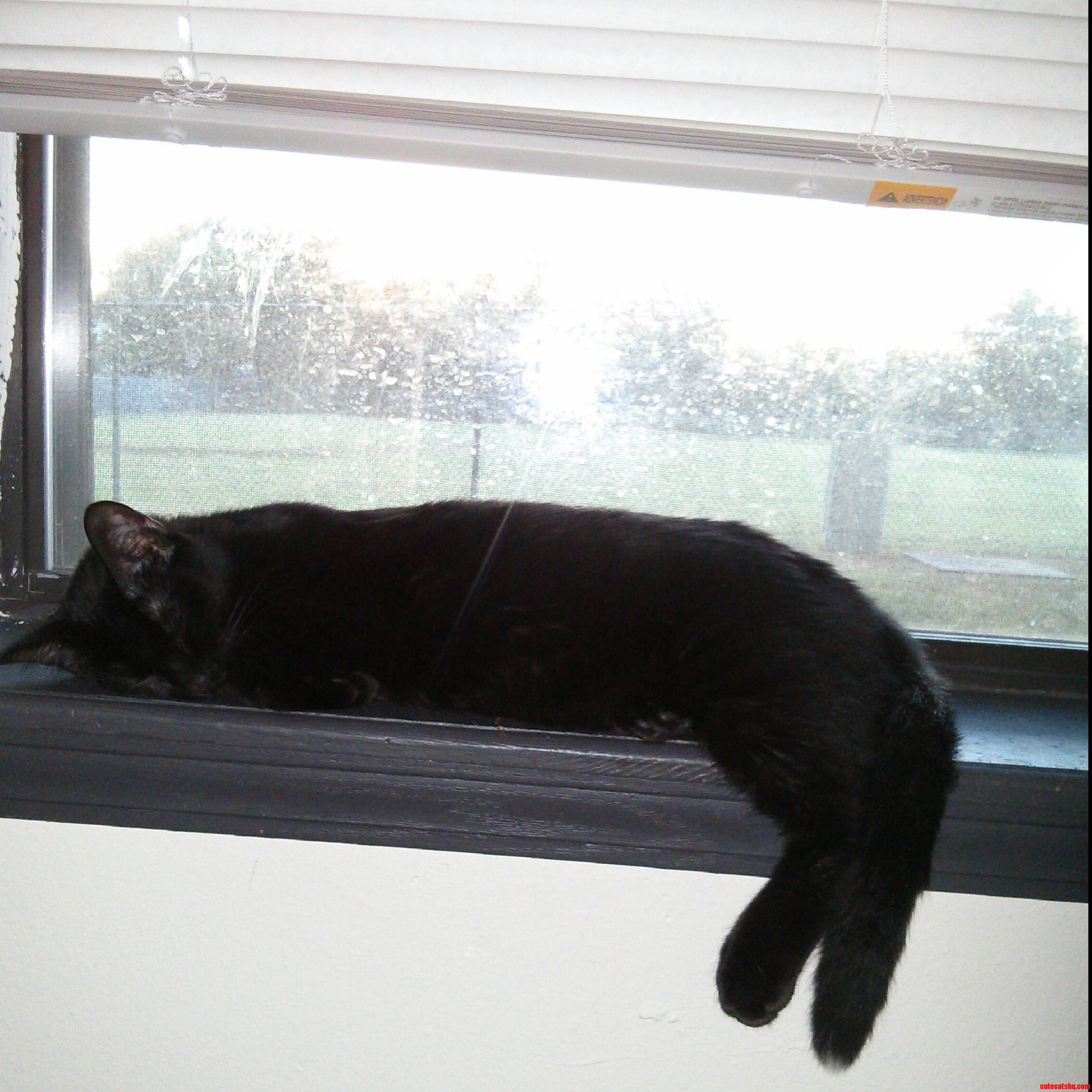 The Only Time Hes Not Eating  Chewing  Biting  Scratching  or Attacking Everything. So Sweet.