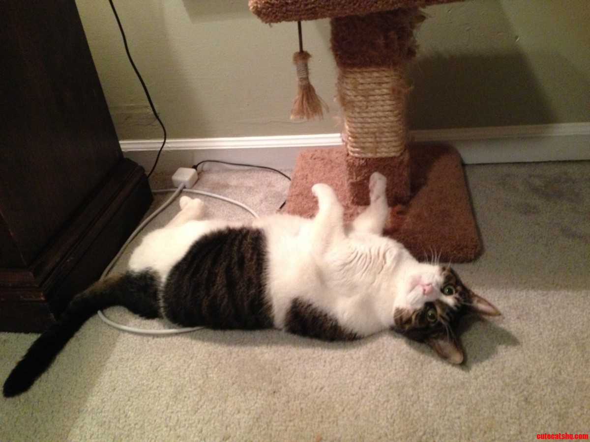The Red Dot Has Traveled to the Ceiling. Ill Watch It Until Its Within My Grasp.