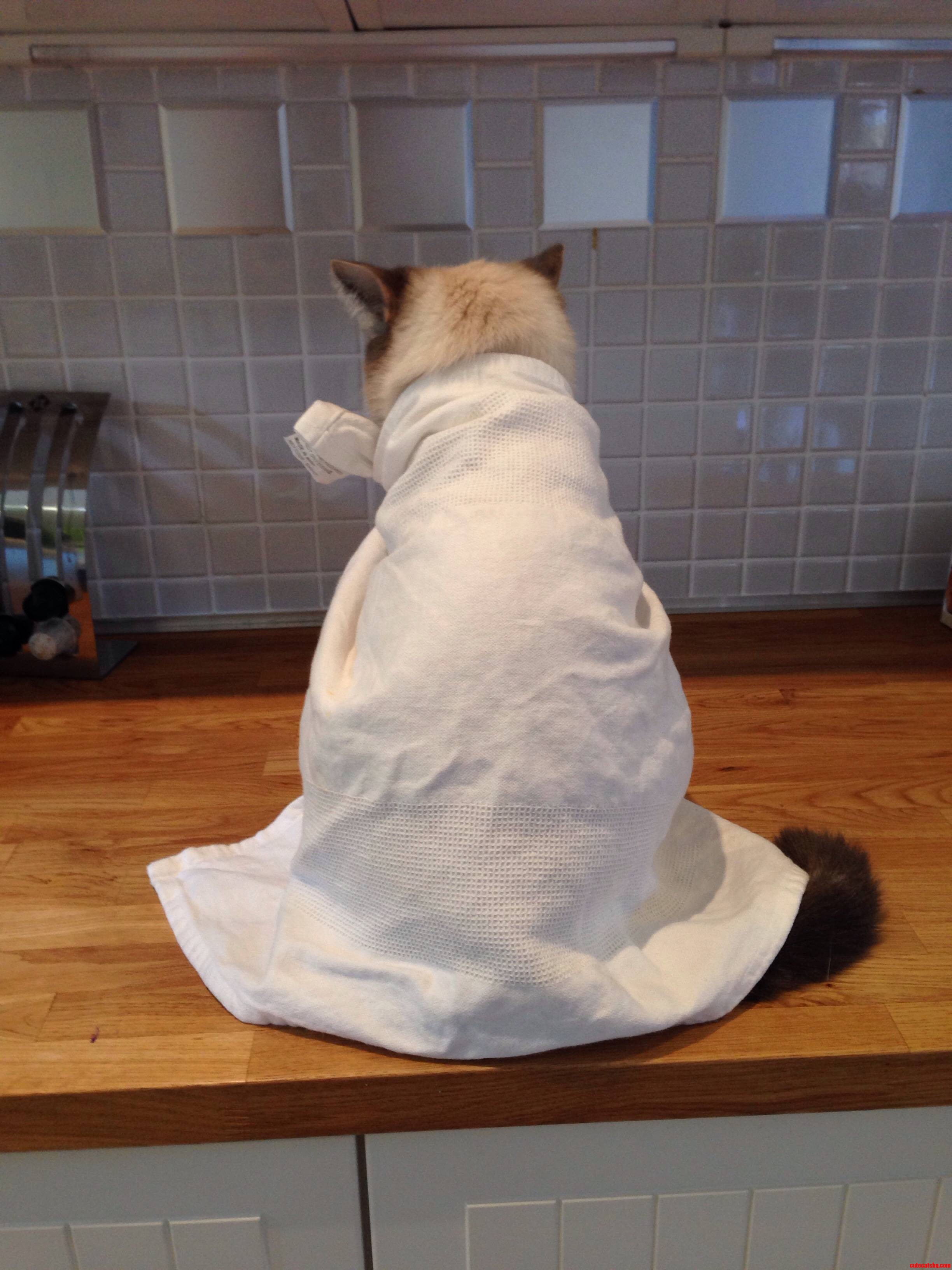 The Tea Towel of Shame.
