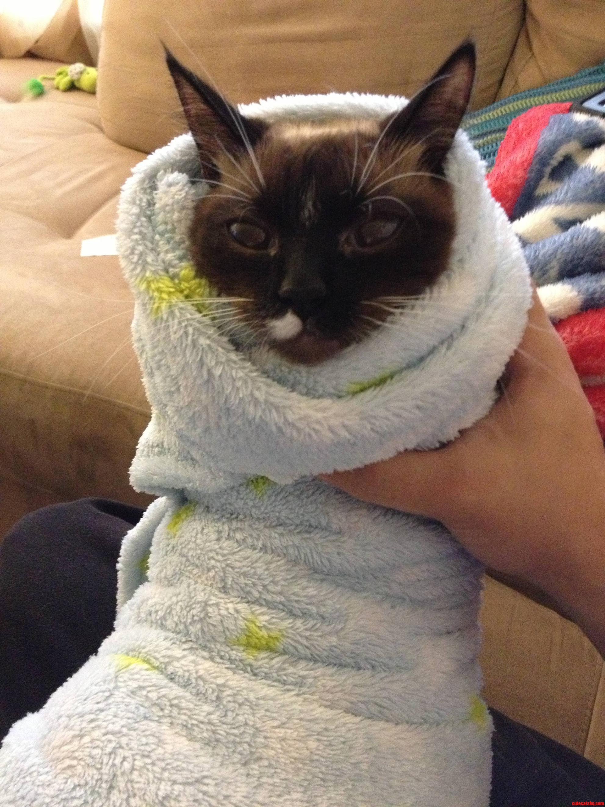 There Might Be a Little Anger in Those Eyes