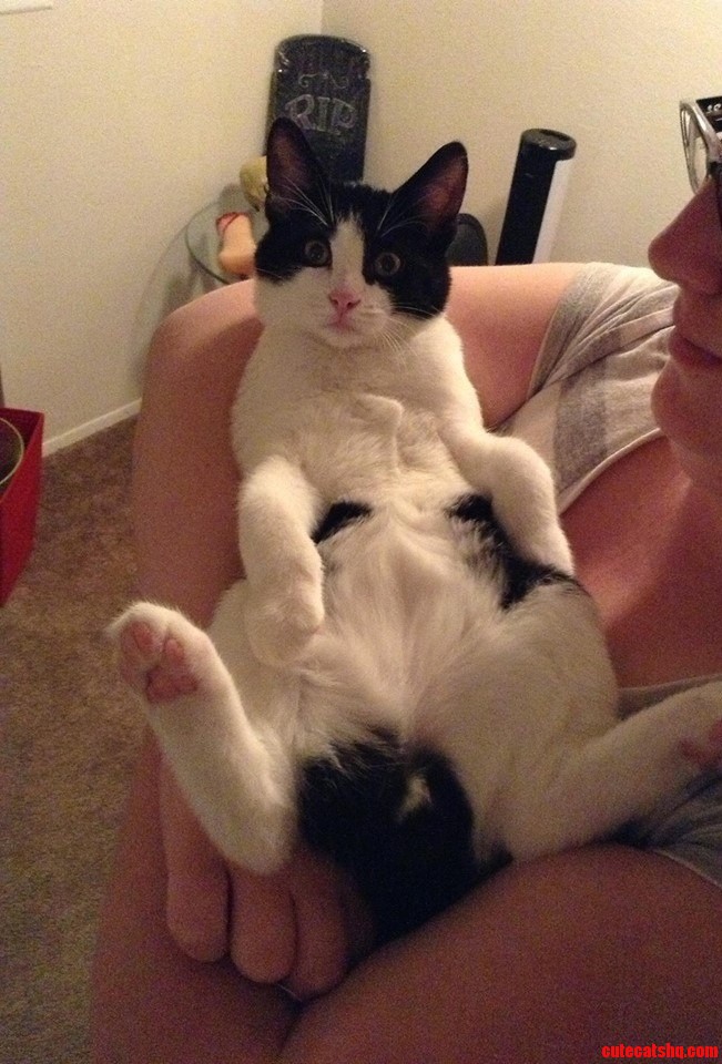 Theres No Shame in His Game.